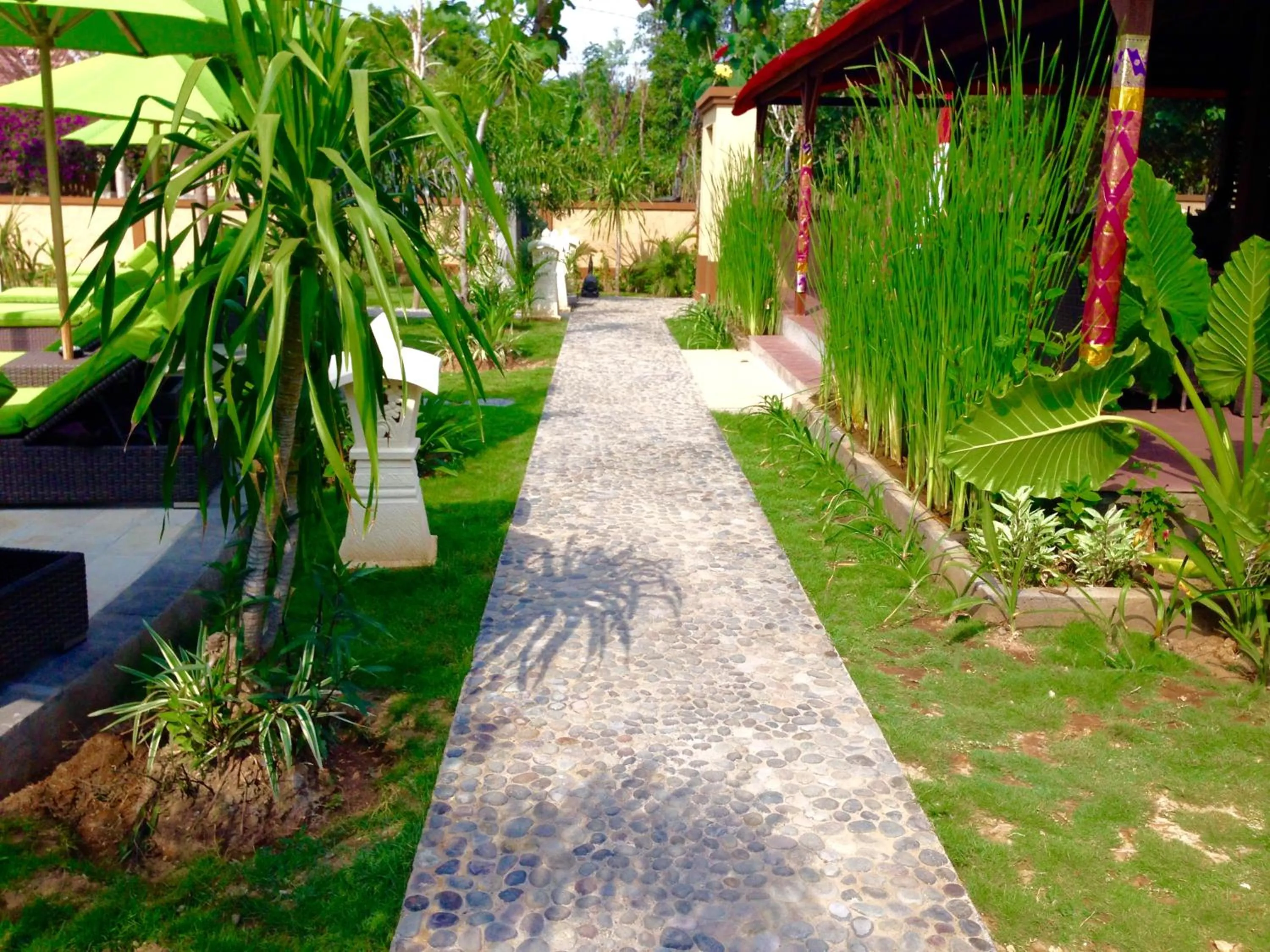 Garden in Damara Lembongan