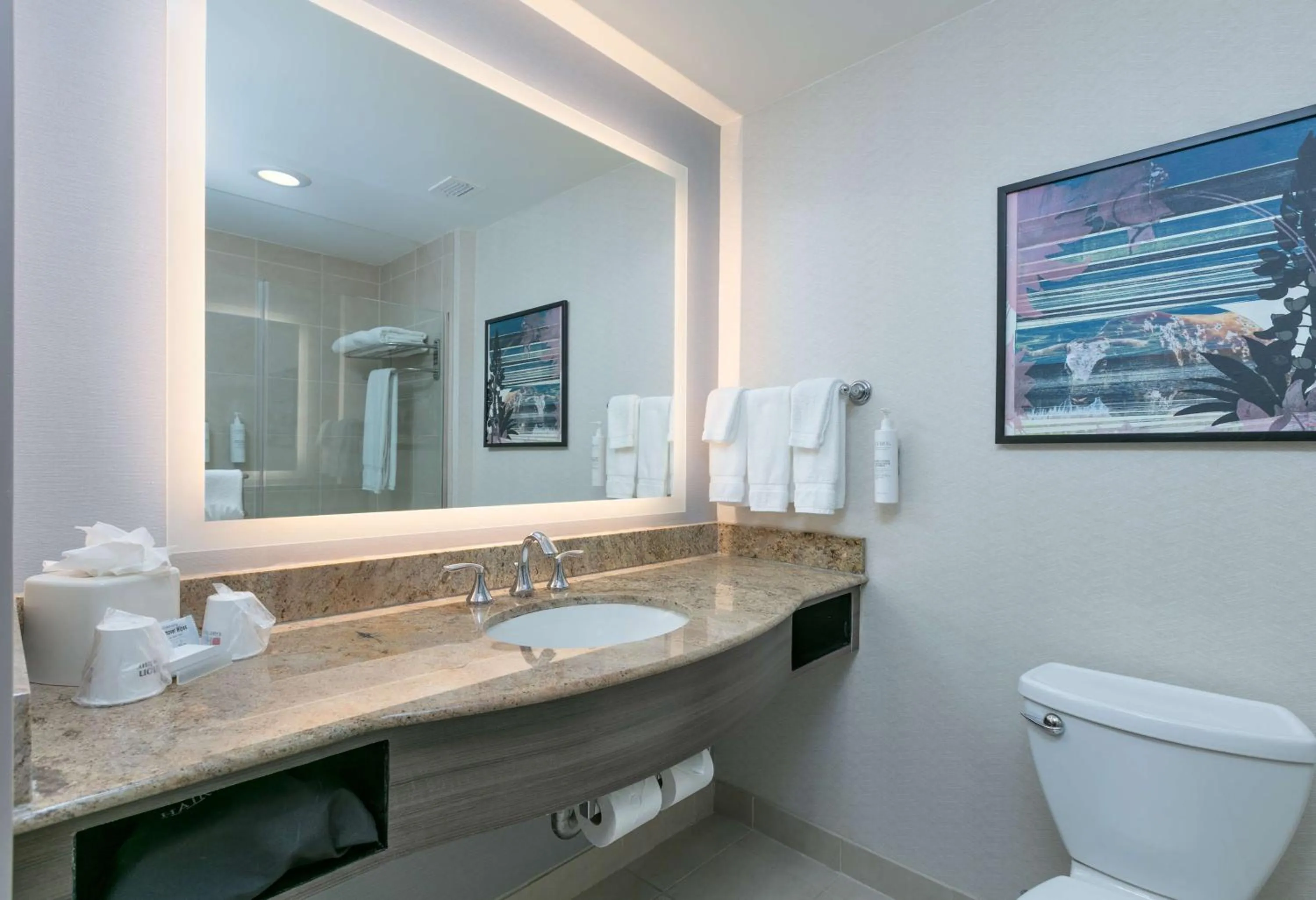 Bathroom in Hilton Garden Inn Dallas Arlington