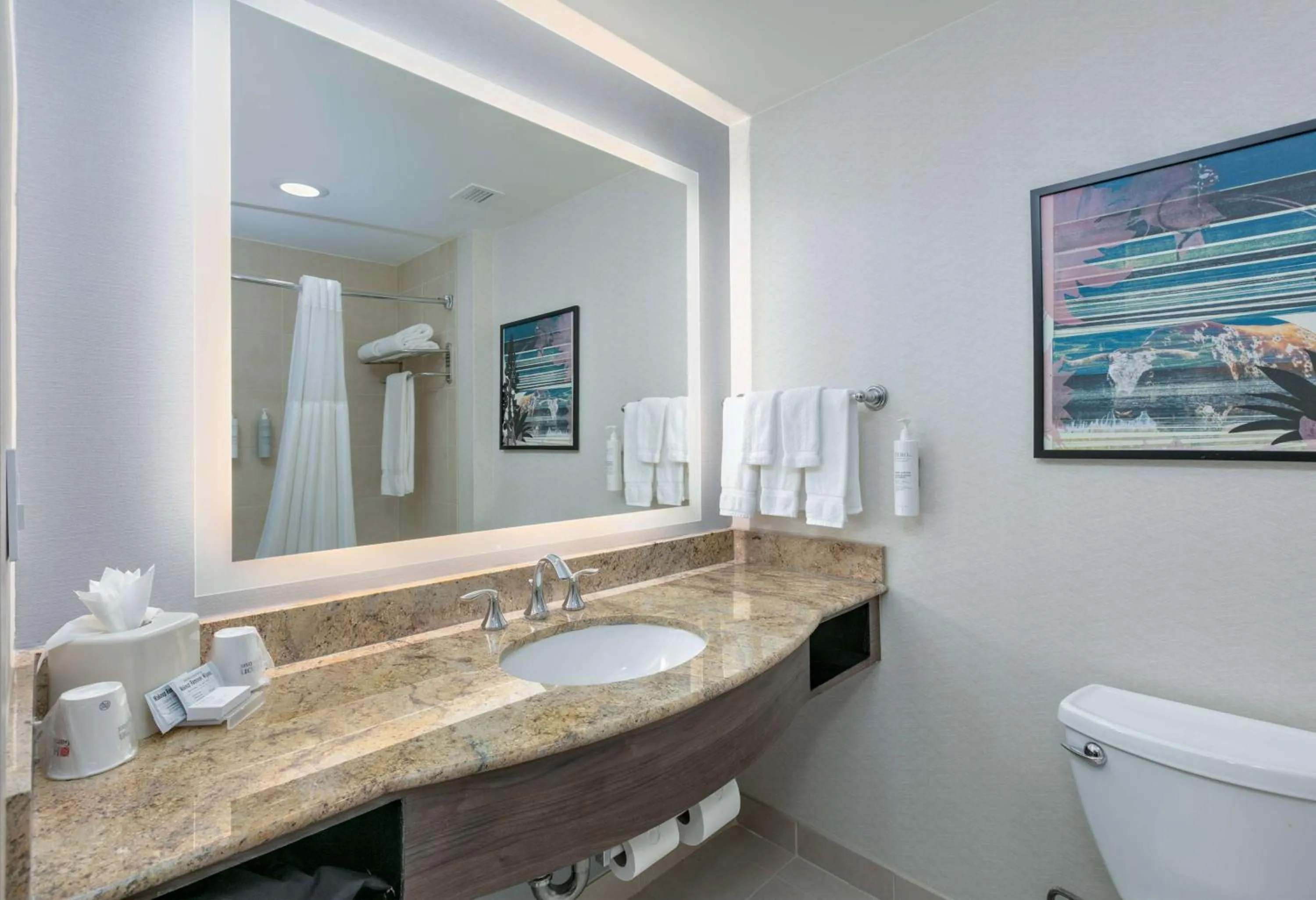 Bathroom in Hilton Garden Inn Dallas Arlington