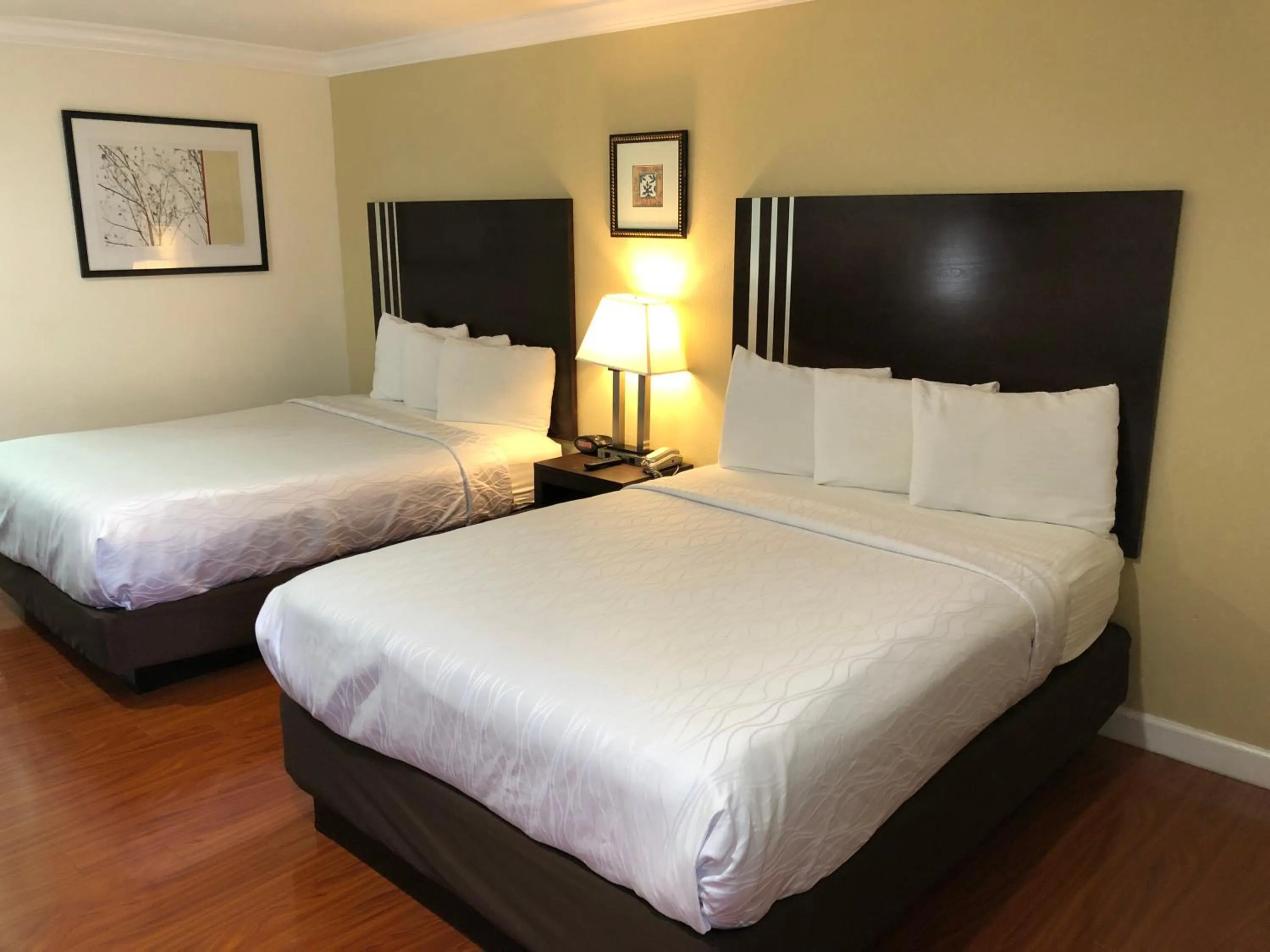 Bed in Lombard Plaza Motel