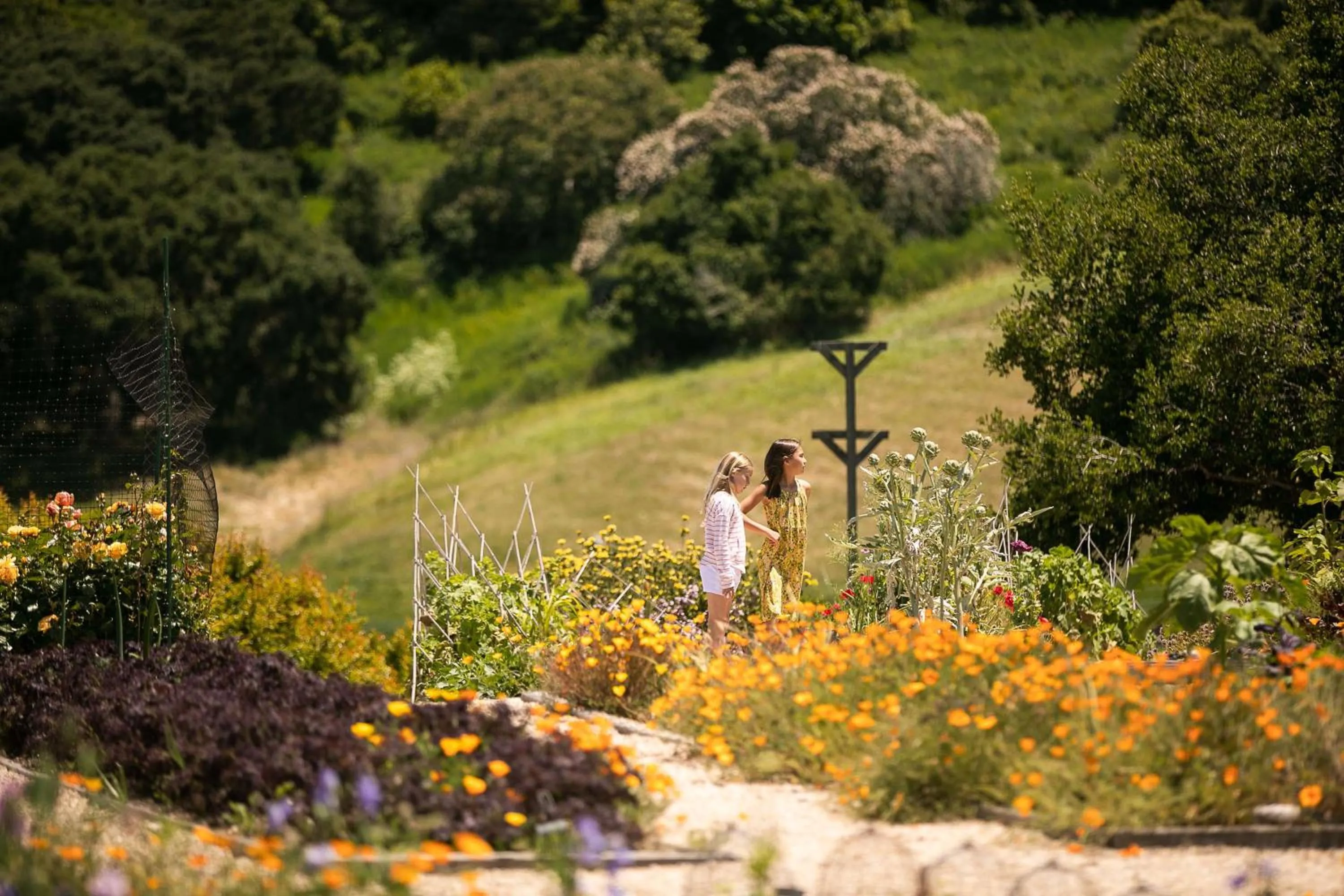 Location in Carmel Valley Ranch, in The Unbound Collection by Hyatt