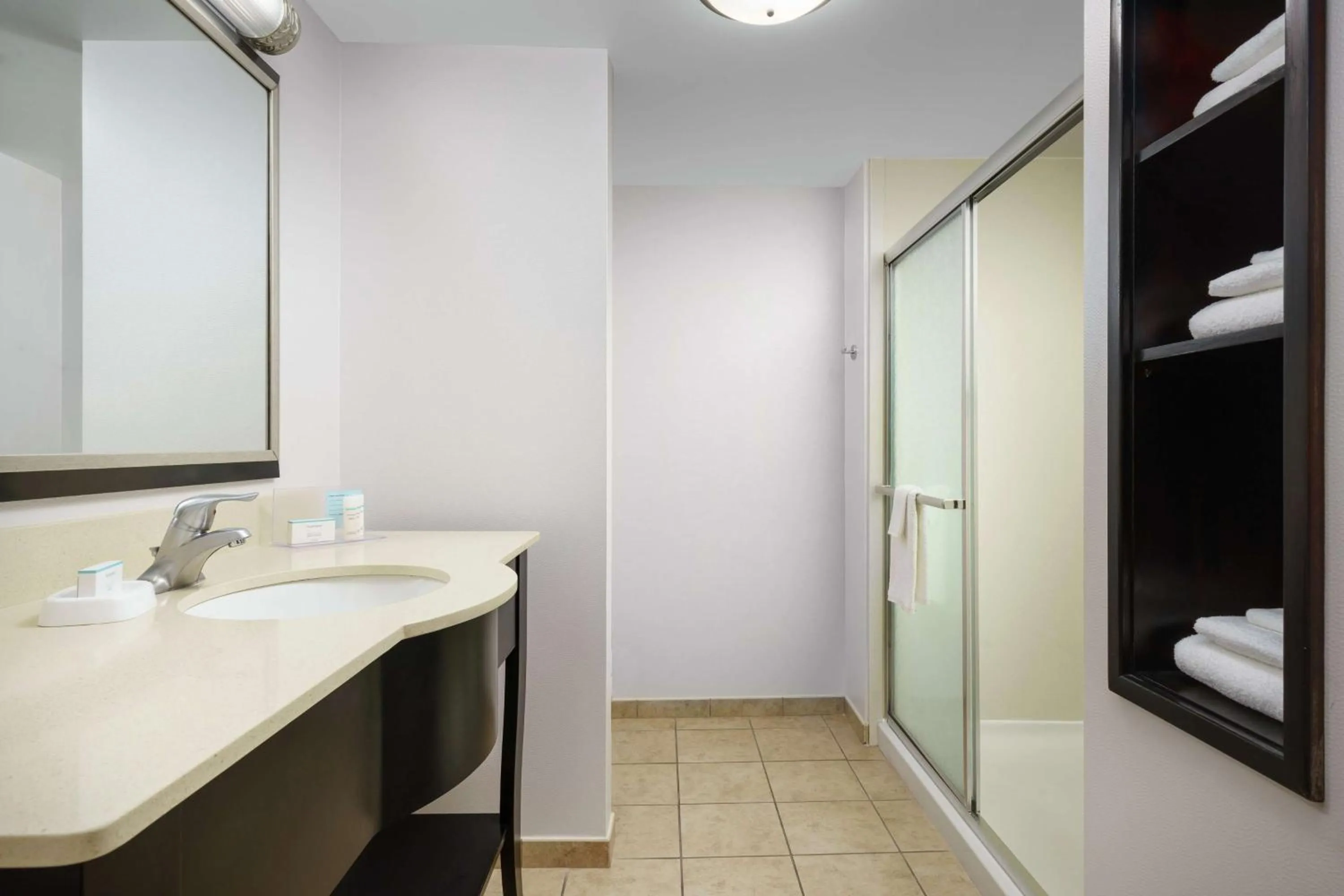Bathroom in Hampton Inn & Suites Ft. Lauderdale/West-Sawgrass/Tamarac, FL