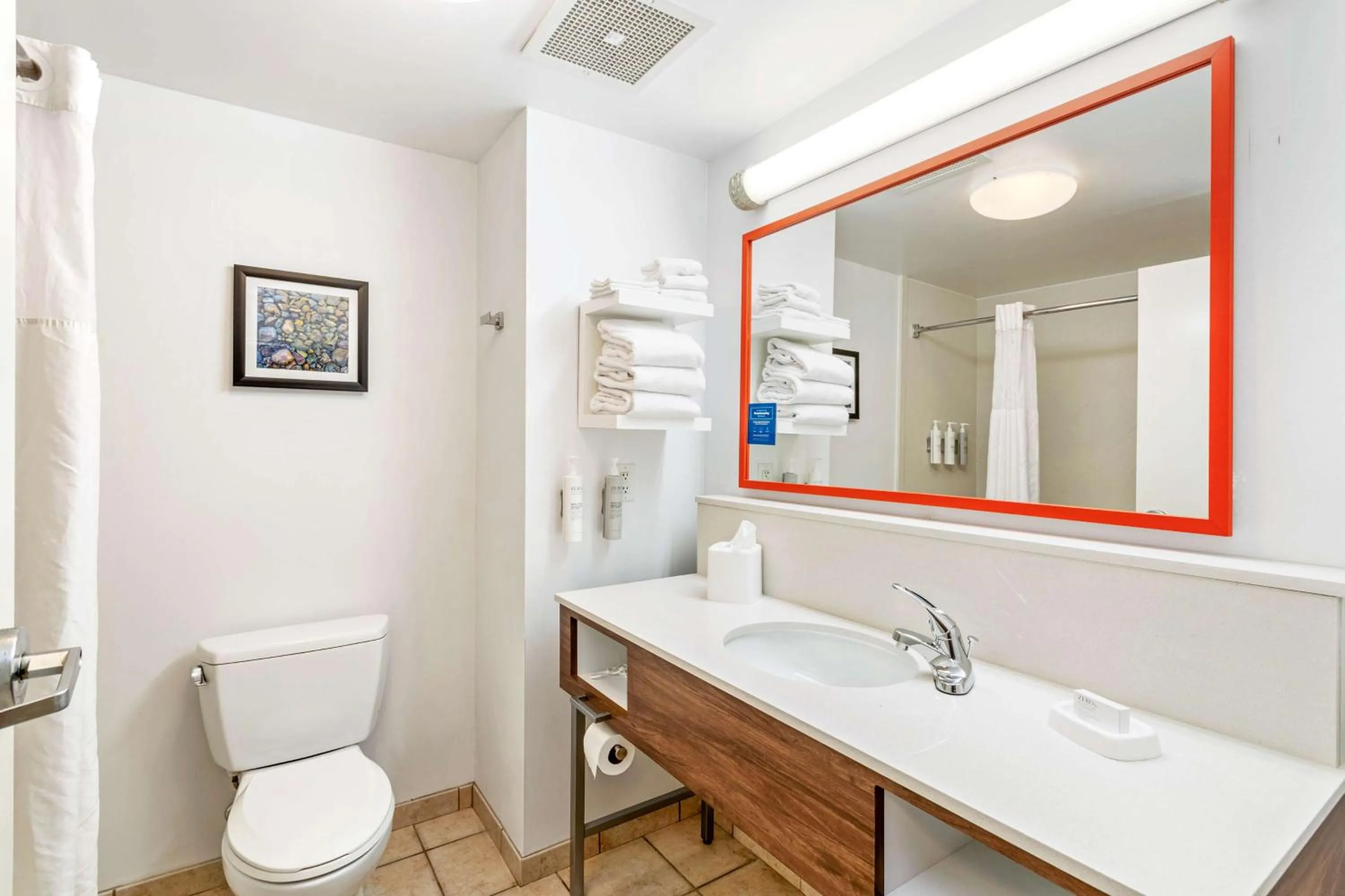 Bathroom in Hampton Inn & Suites Orlando-Apopka