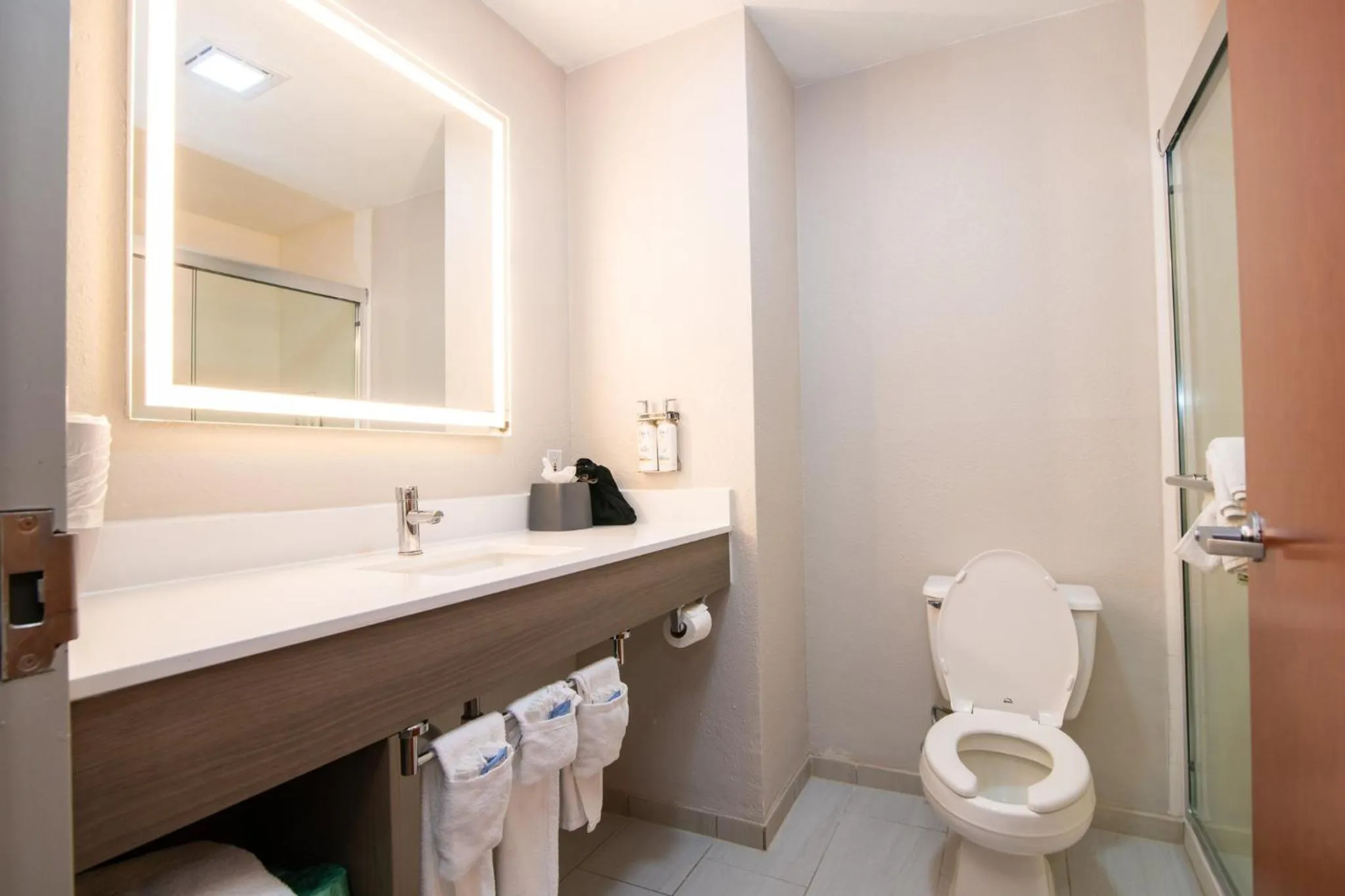 Photo of the whole room in Holiday Inn Express & Suites College Station by IHG