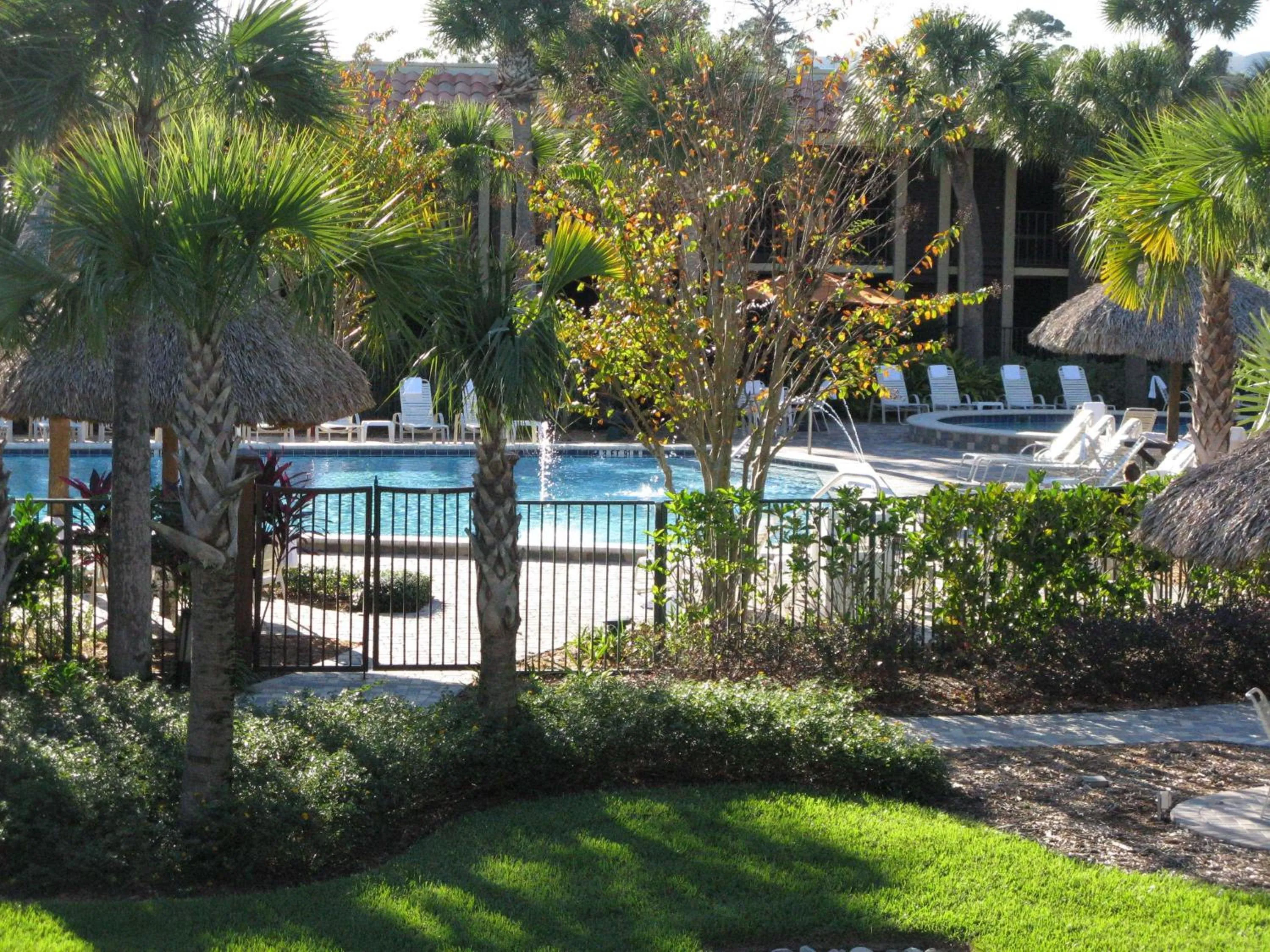 Pool view in DoubleTree by Hilton Hotel Orlando at SeaWorld