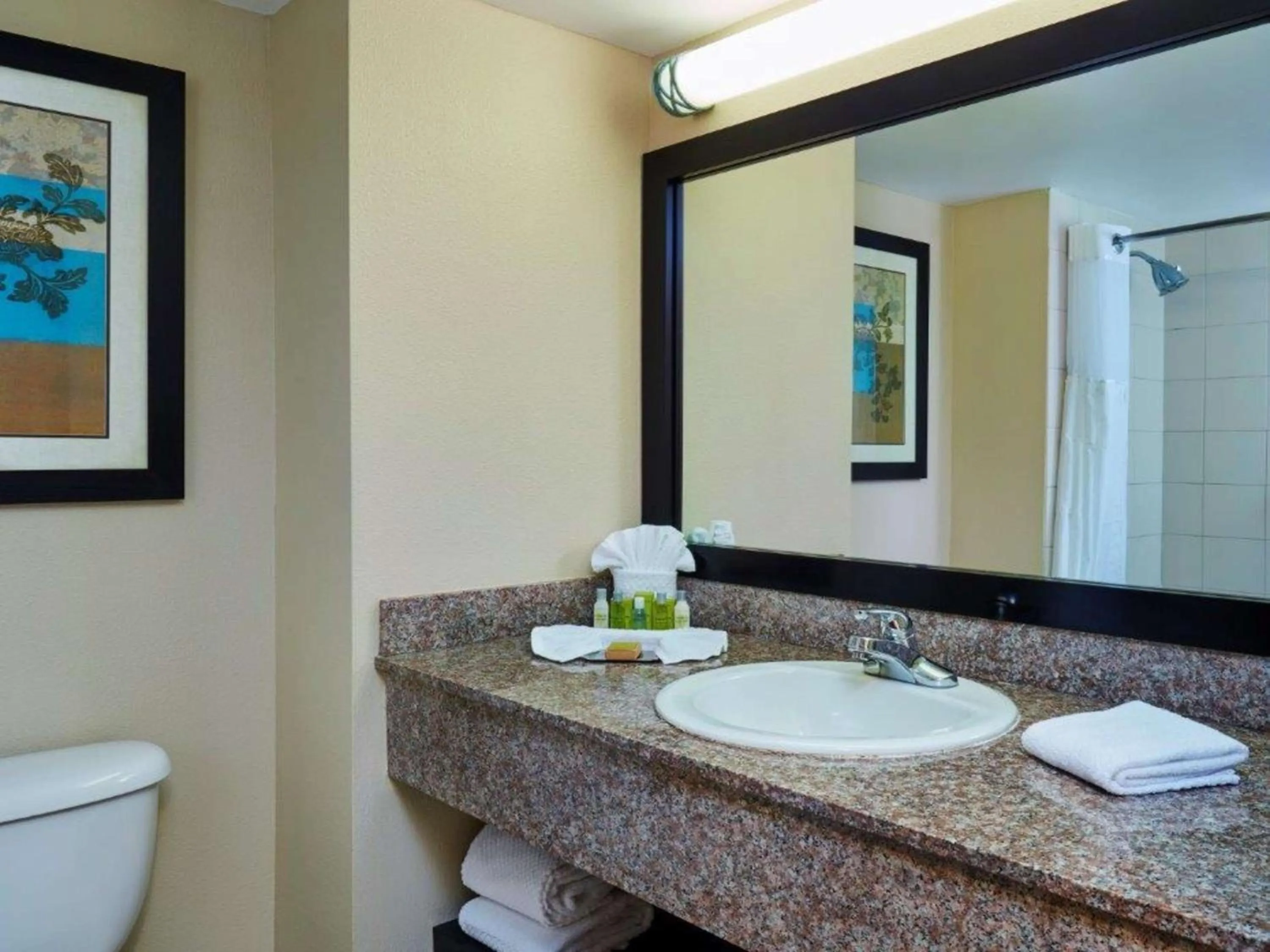 Bathroom in DoubleTree by Hilton Hotel Orlando at SeaWorld