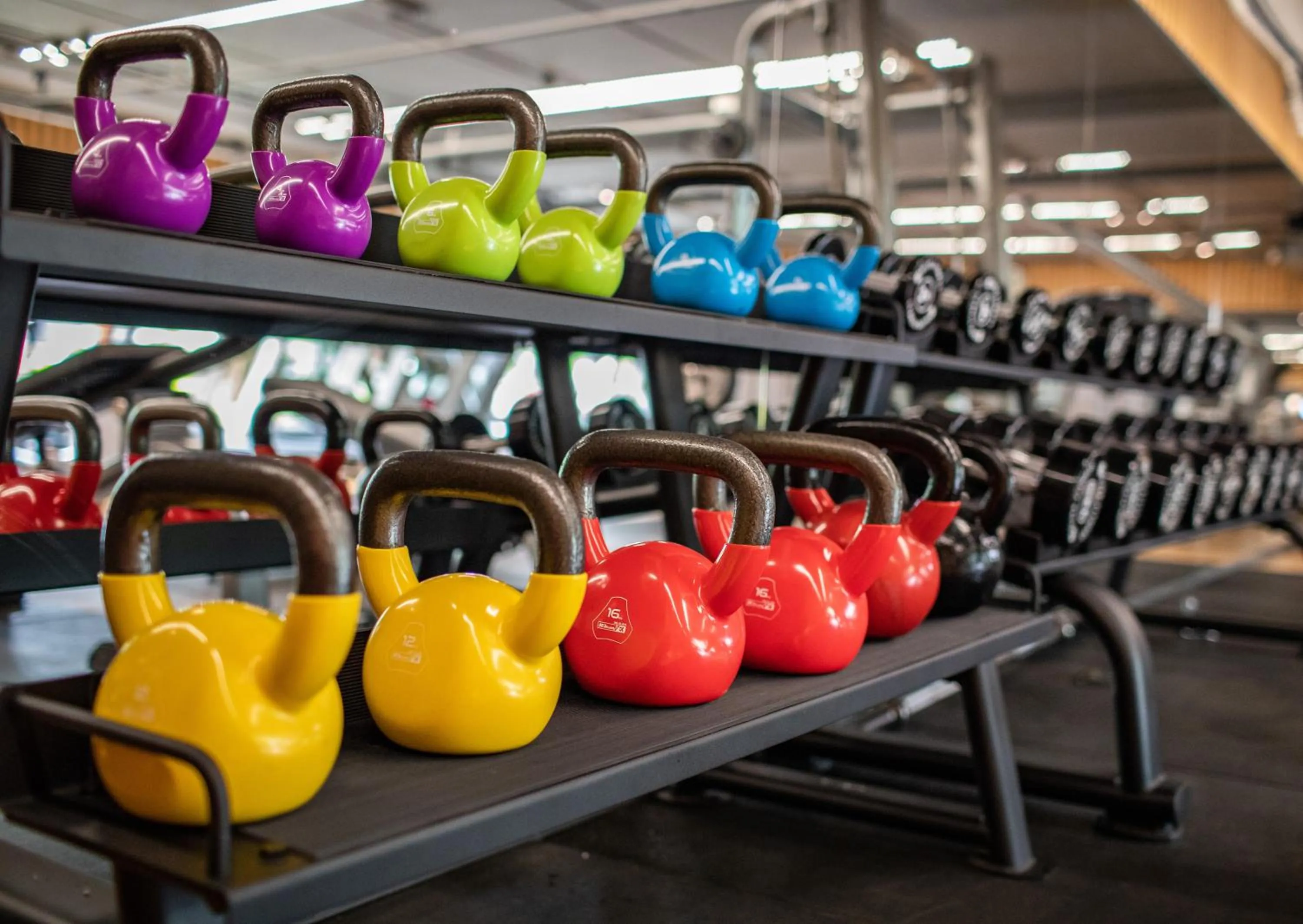 Fitness centre/facilities in Fraser Suites Hanoi