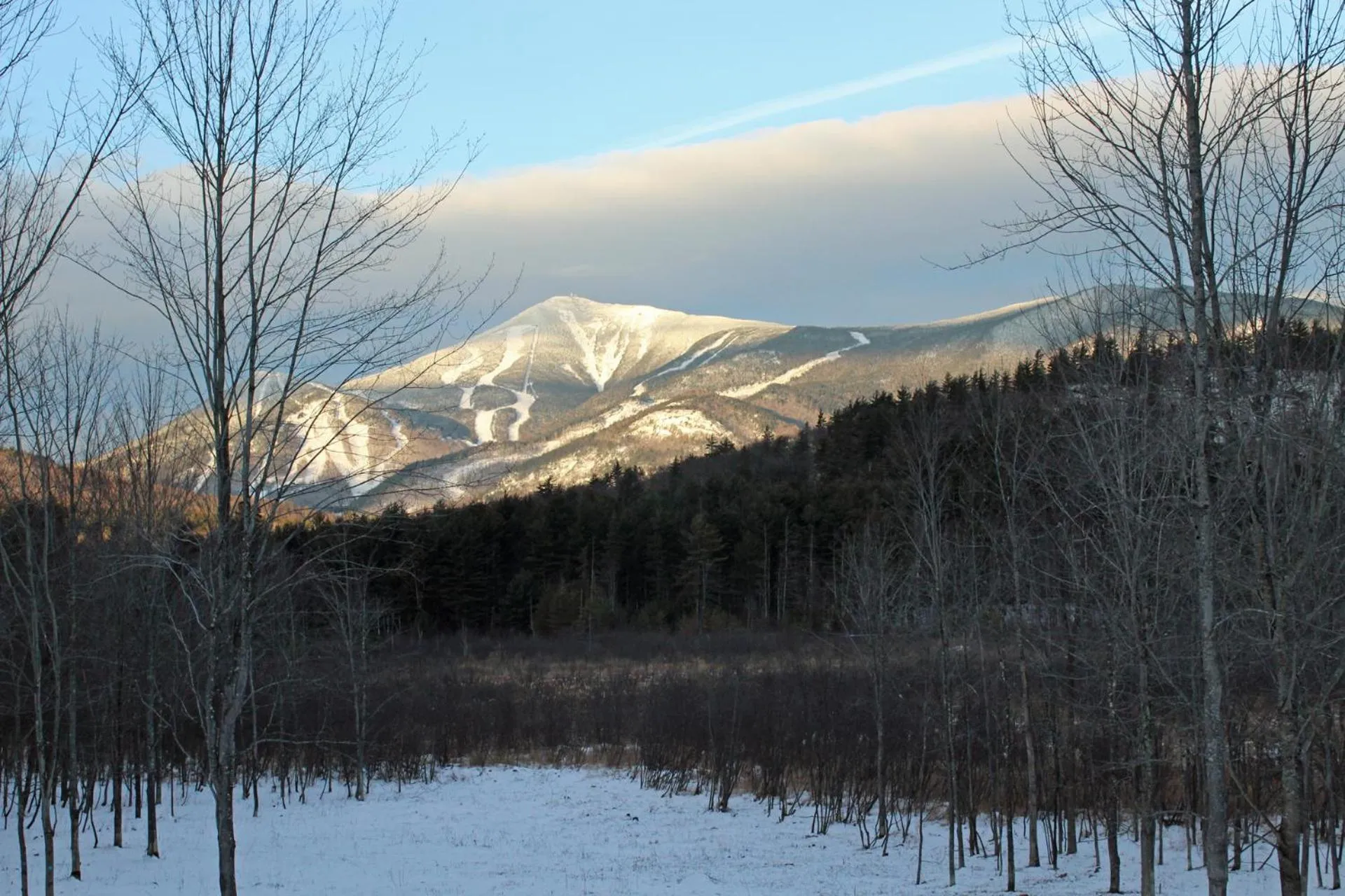 Spring in Esther Mountain Chalet