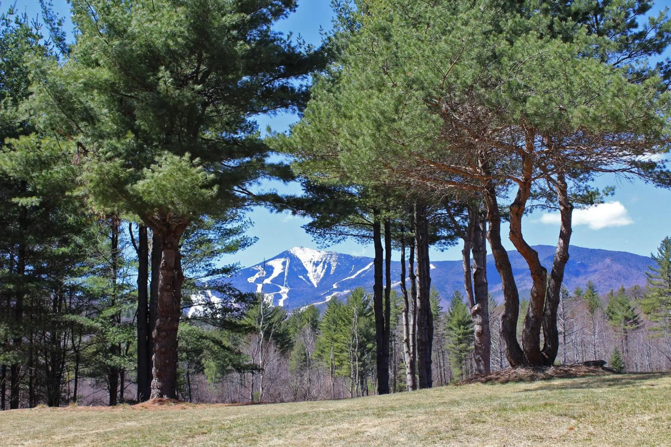Spring in Esther Mountain Chalet