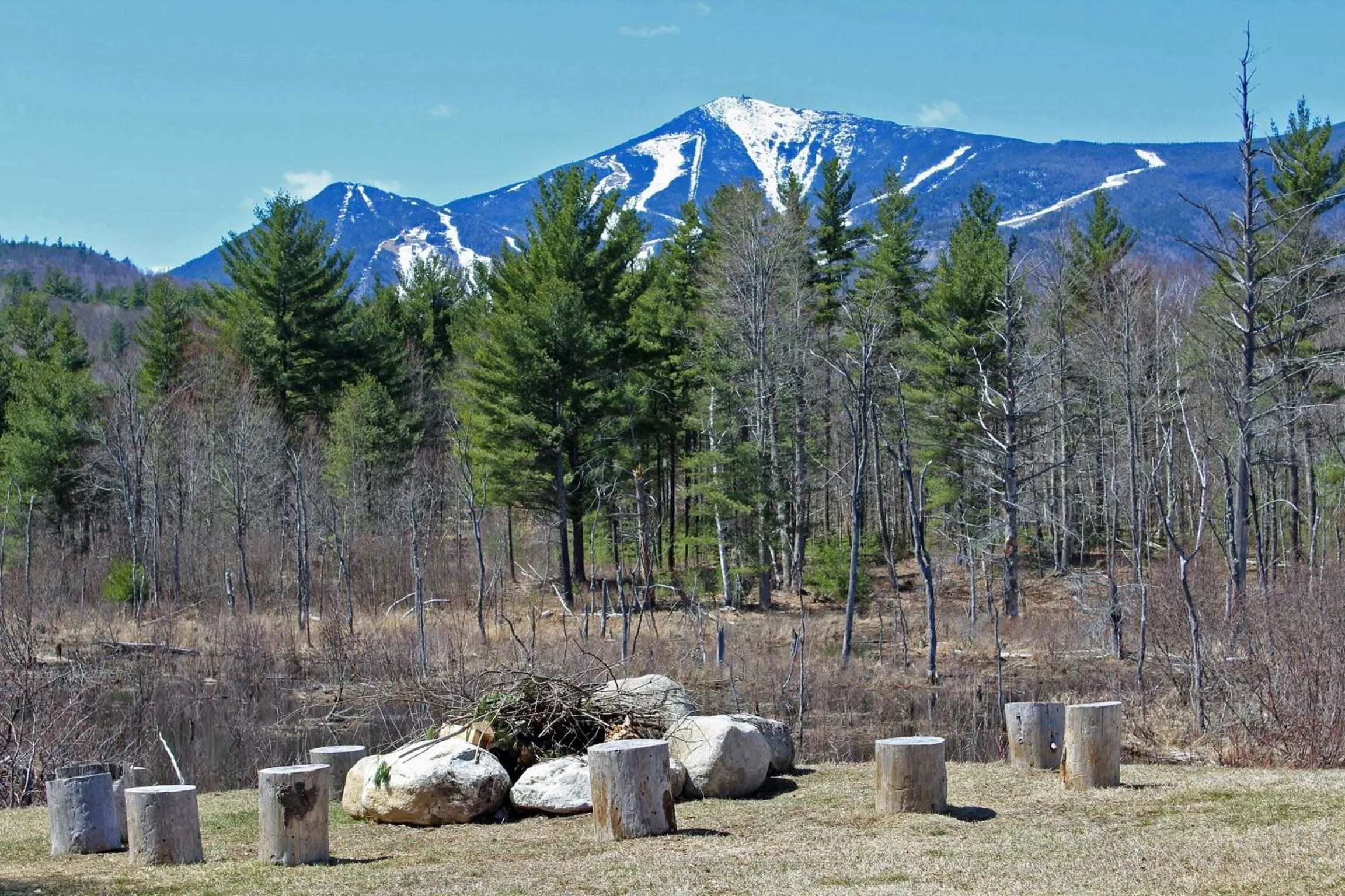 Spring in Esther Mountain Chalet