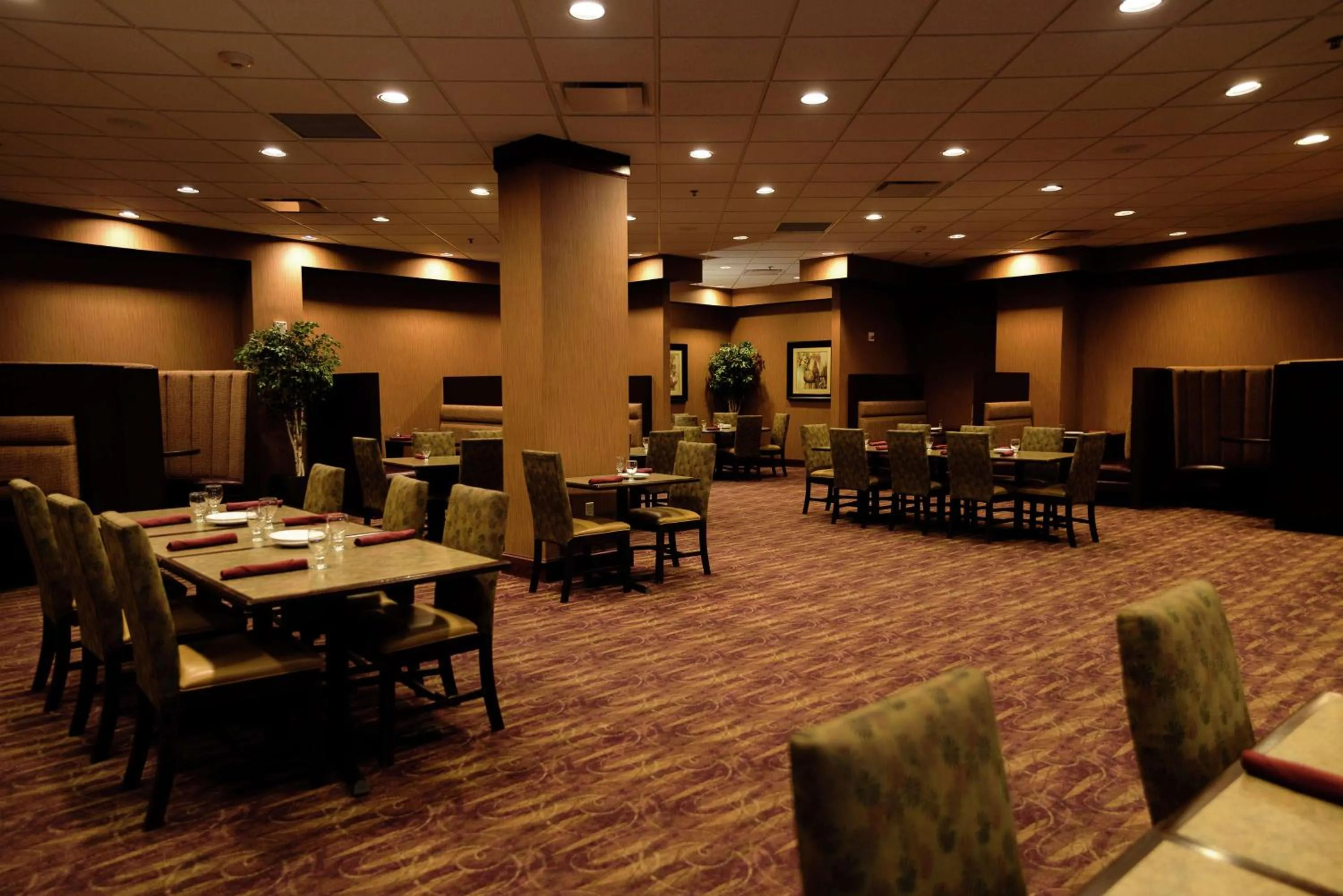 Dining area in Embassy Suites by Hilton Minneapolis North