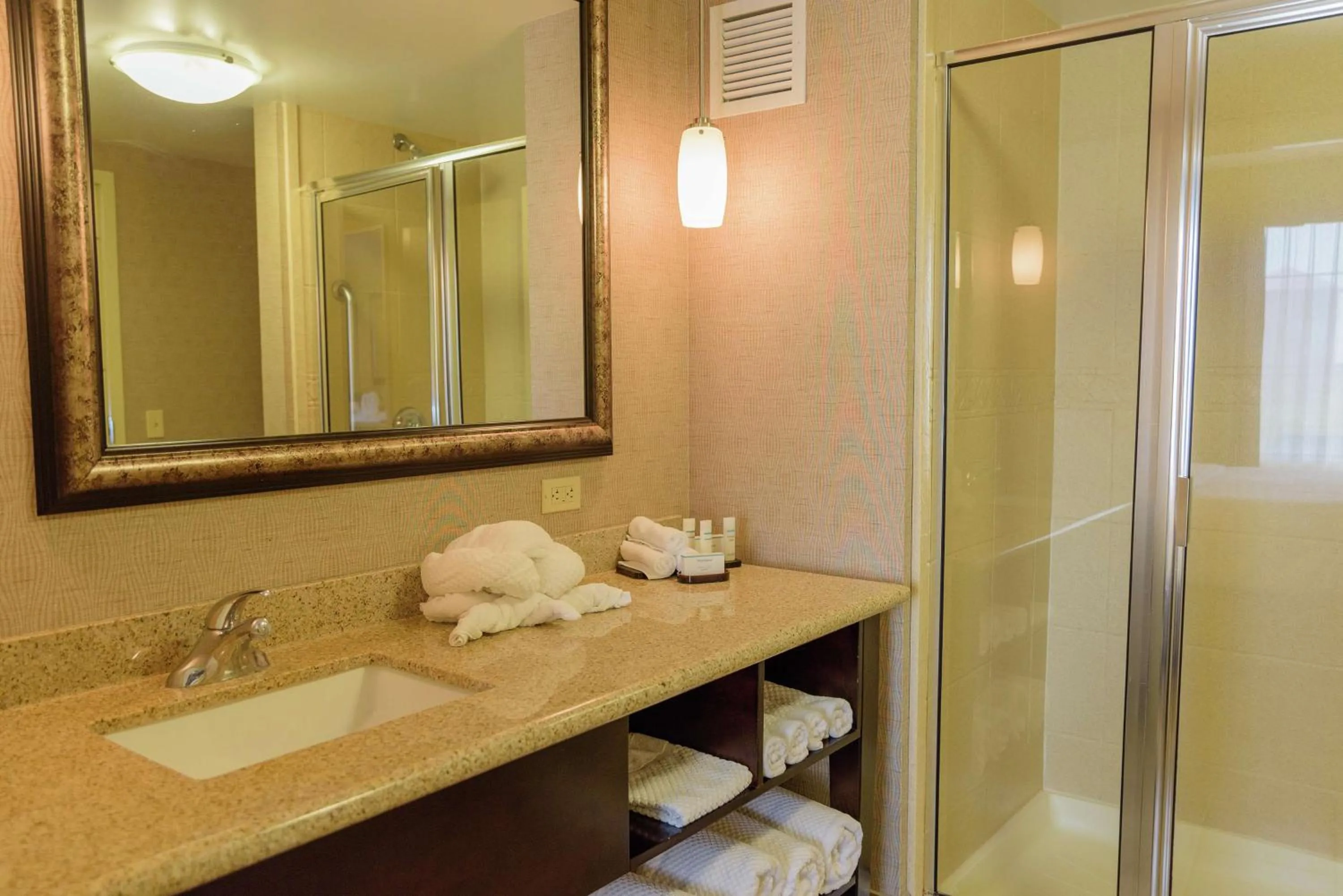 Bathroom in Embassy Suites by Hilton Minneapolis North