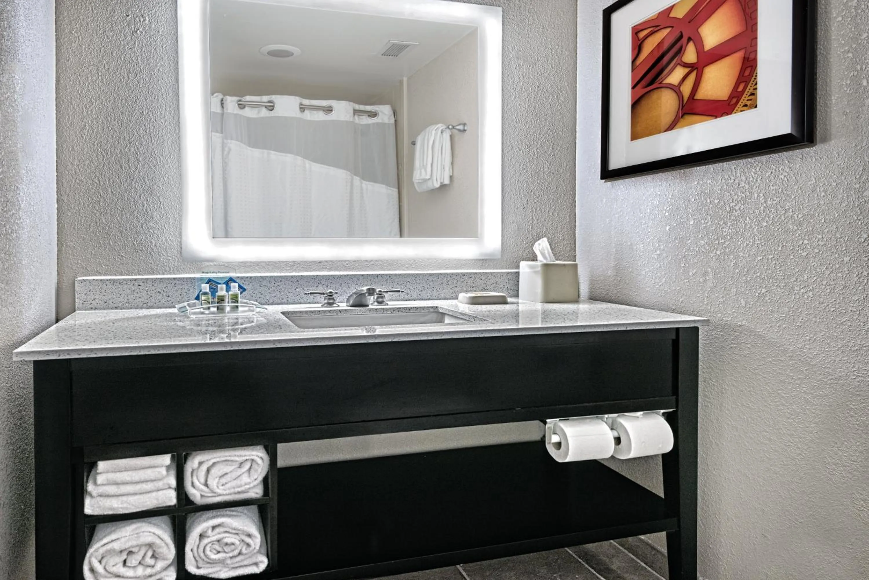 Bathroom in Holiday Inn & Suites College Station-Aggieland by IHG