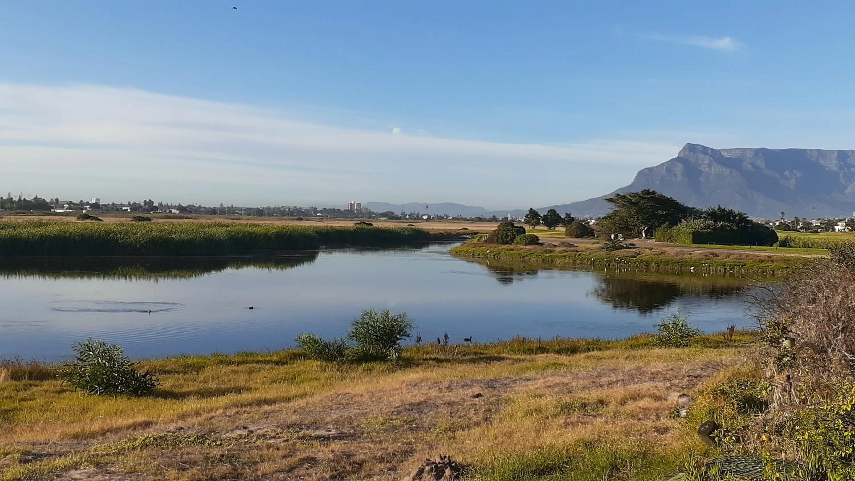View (from property/room) in Cinnamon House Bed & Breakfast