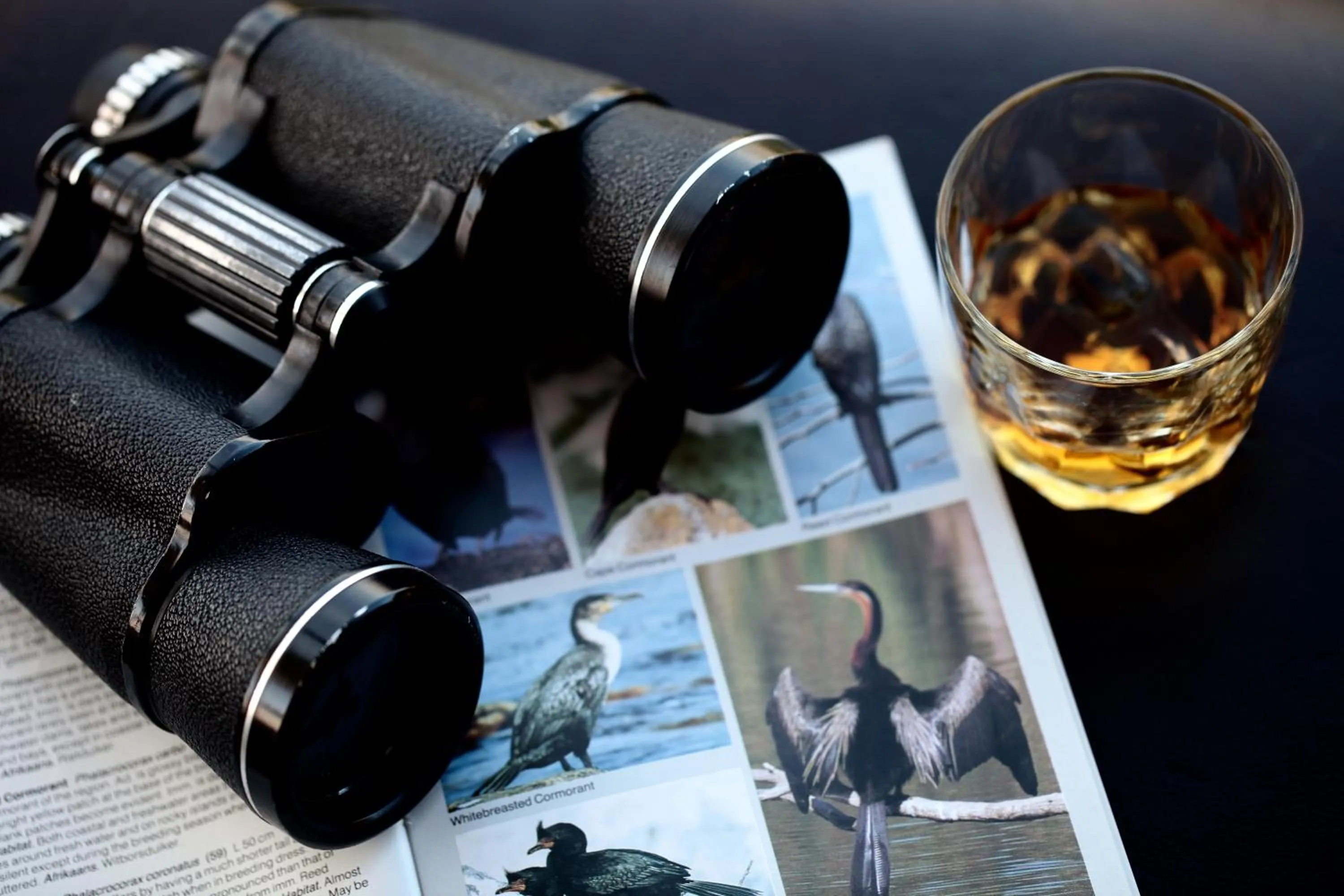 View (from property/room) in Cinnamon House Bed & Breakfast