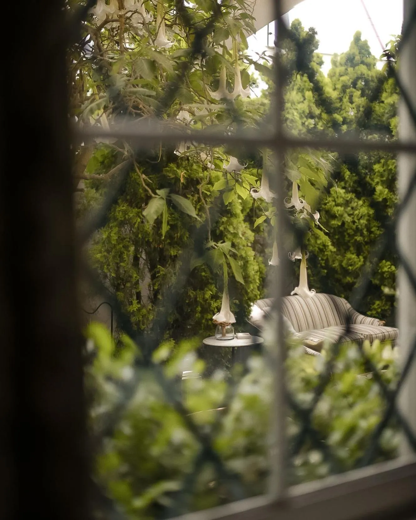 Balcony/Terrace in Atemporal by Andean