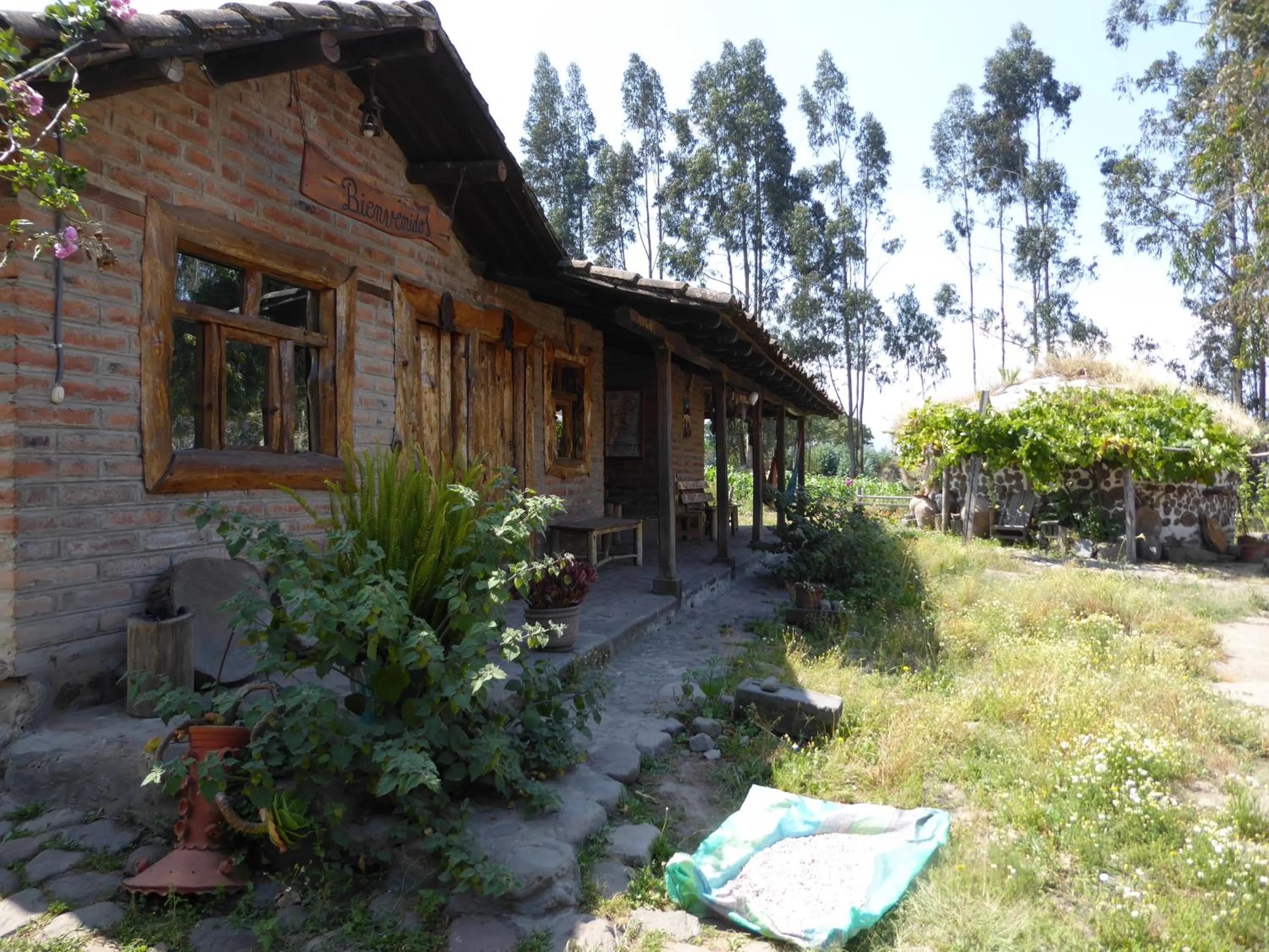 Garden in El Tio Hostal