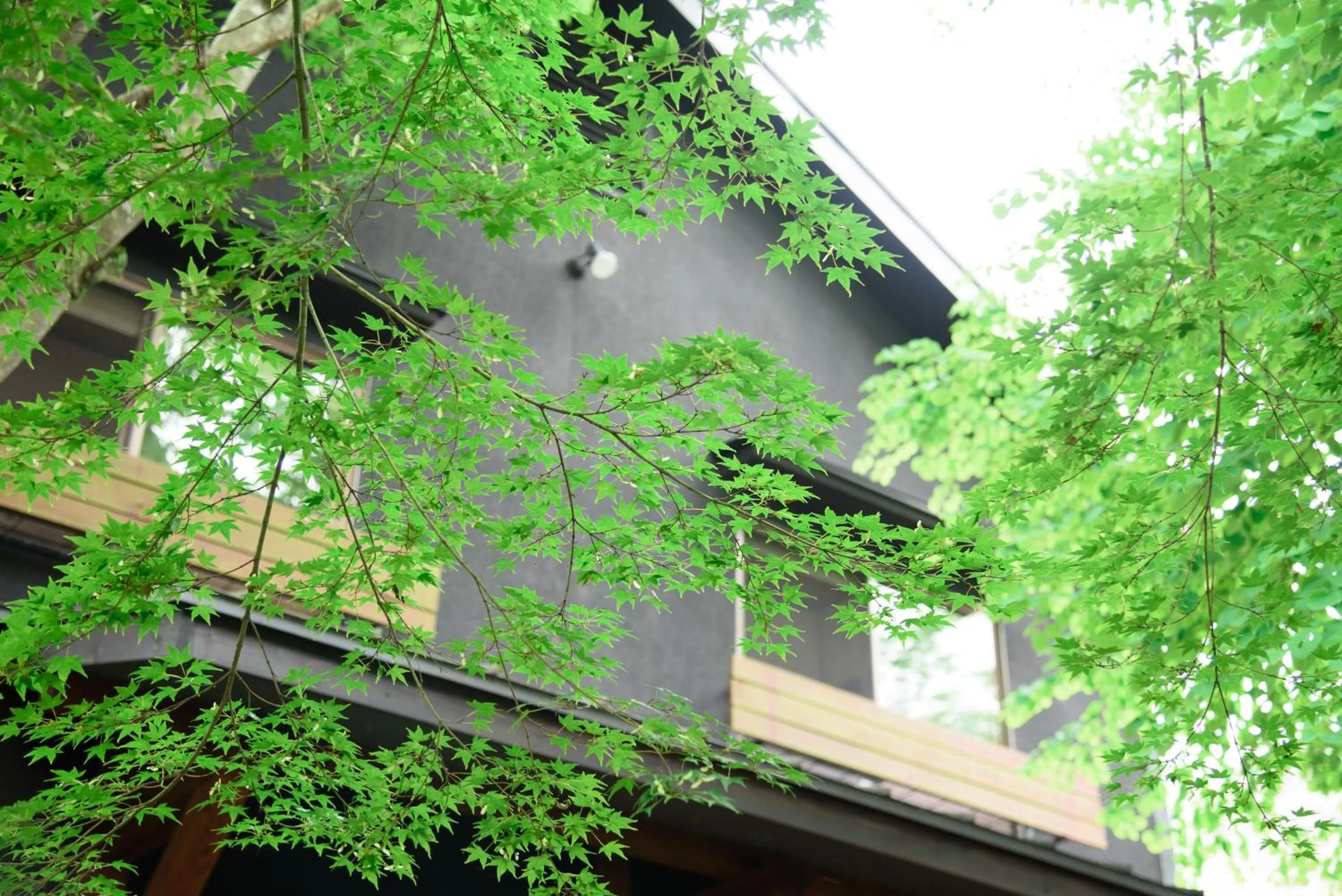 Property building in Yufuin Iyotomi