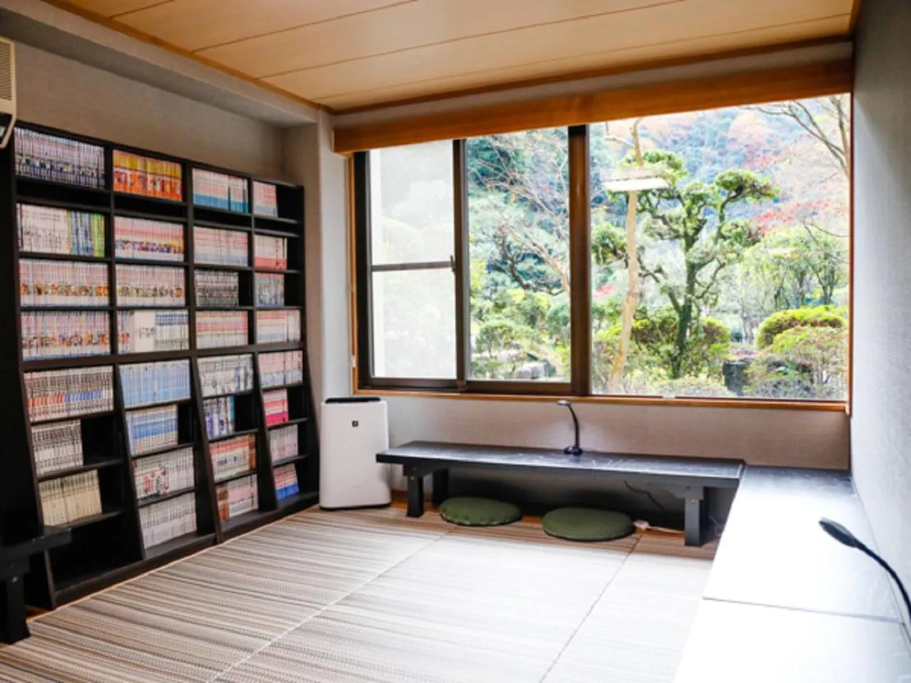 Library in LiVEMAX RESORT Okudogo