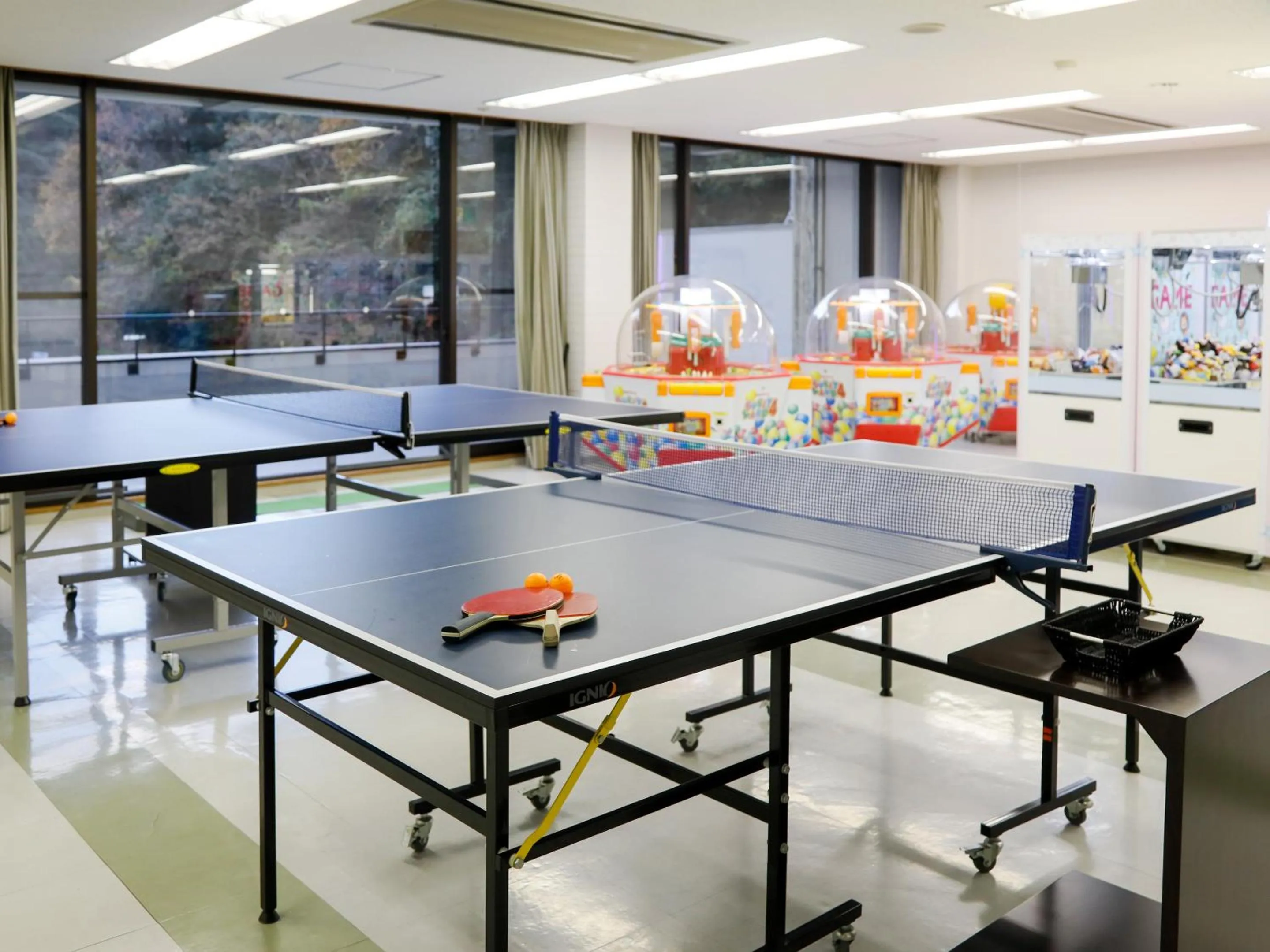 Game Room in LiVEMAX RESORT Okudogo