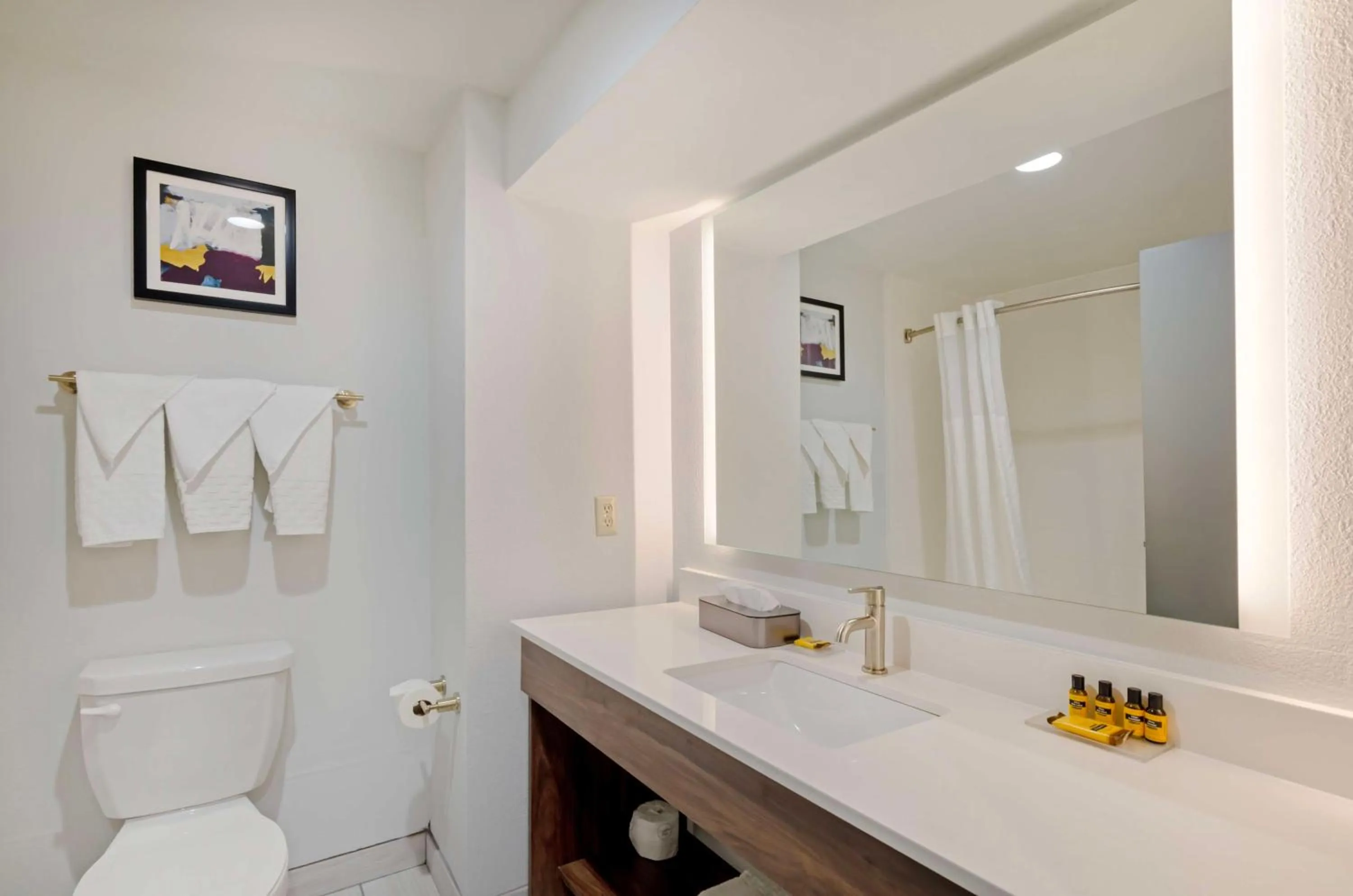 Bathroom in Best Western Plus Harrisonburg