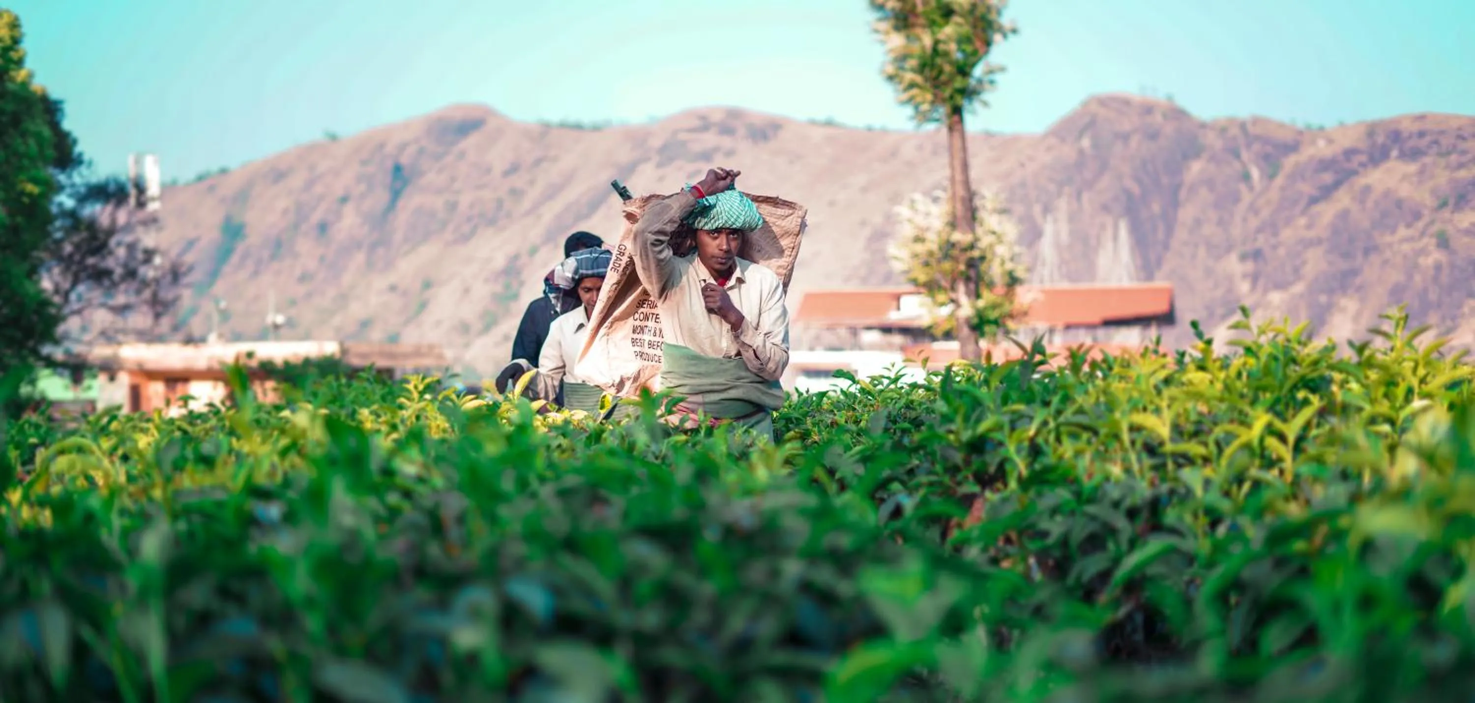 People in Windermere Estate