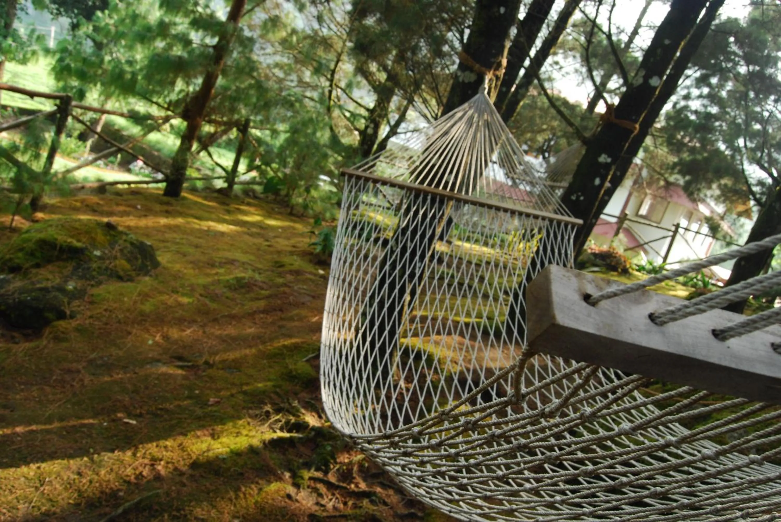Garden in Windermere Estate