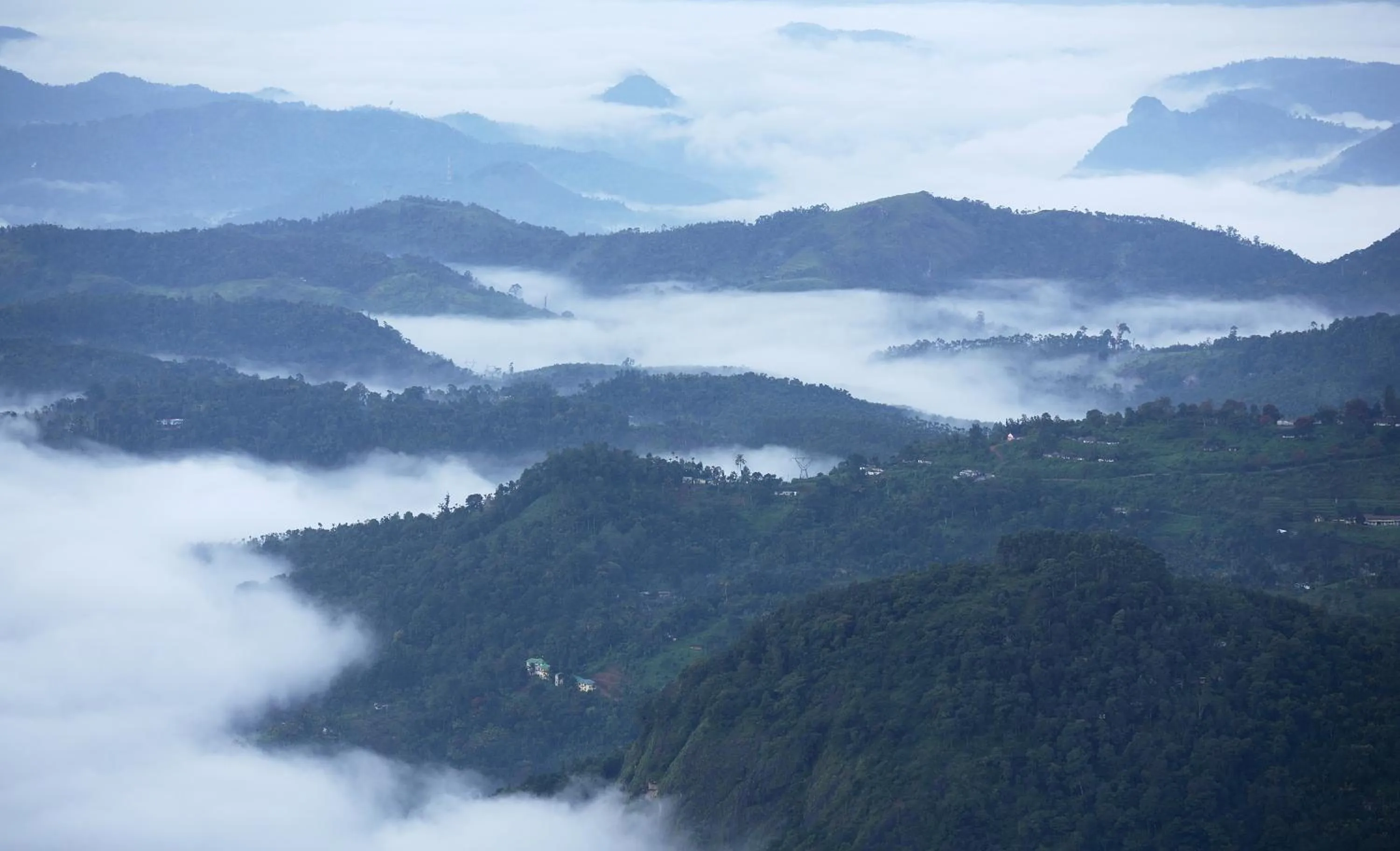 Garden view in Windermere Estate