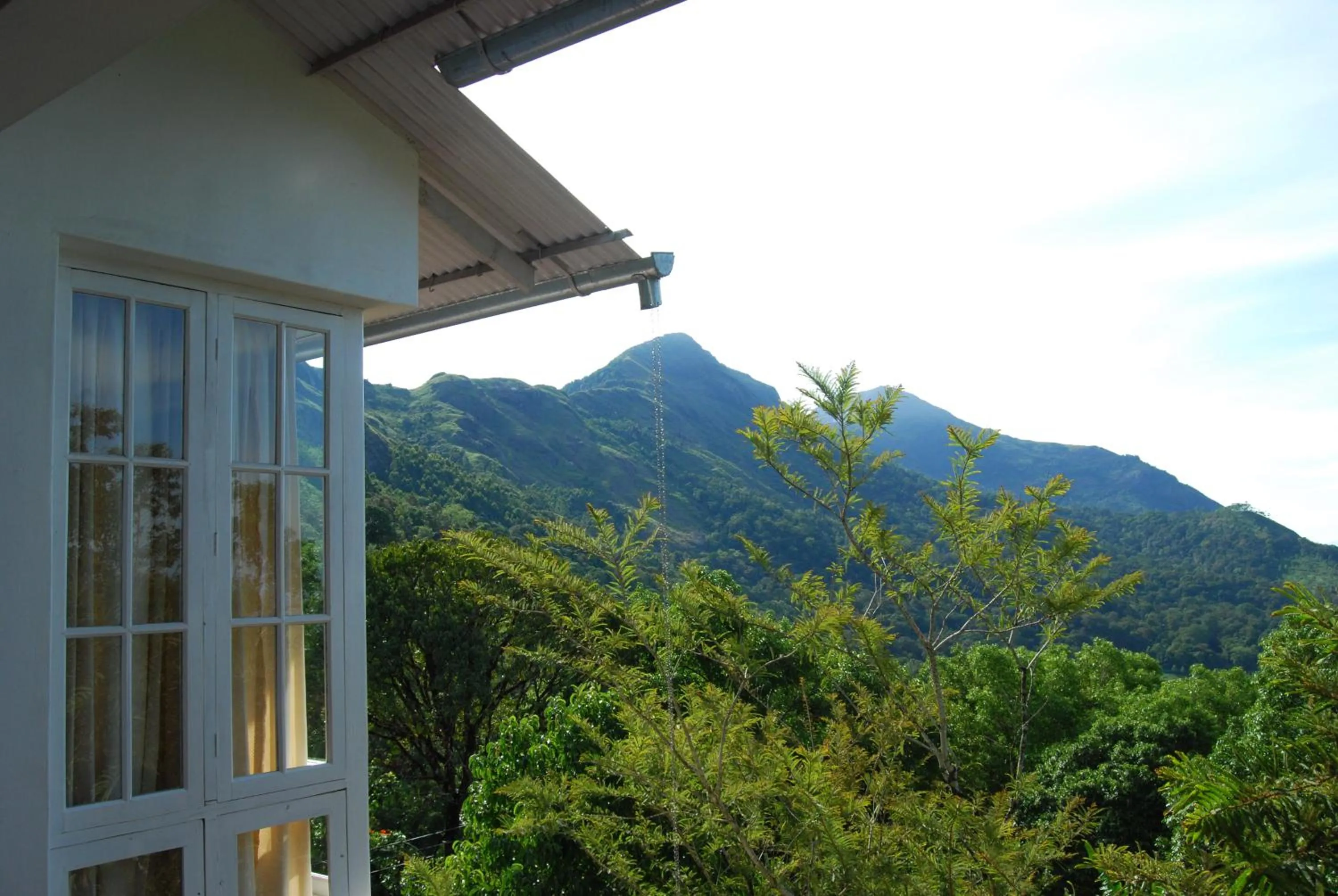 Mountain view in Windermere Estate