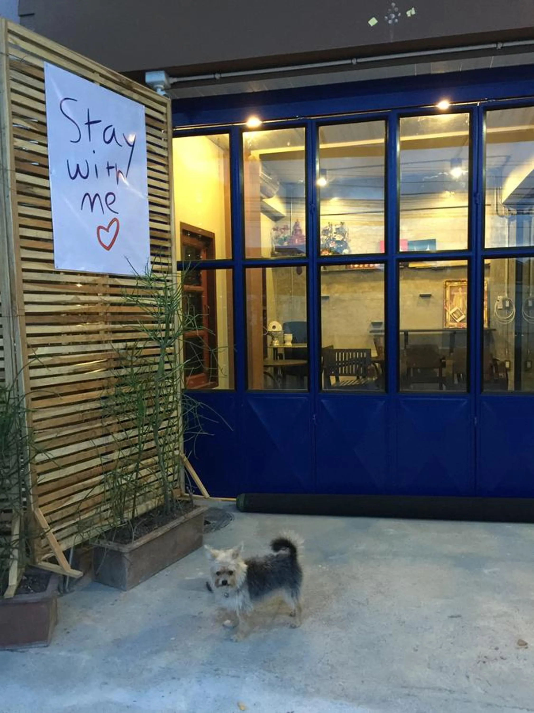 Living room in Chiangmai HomeTeL