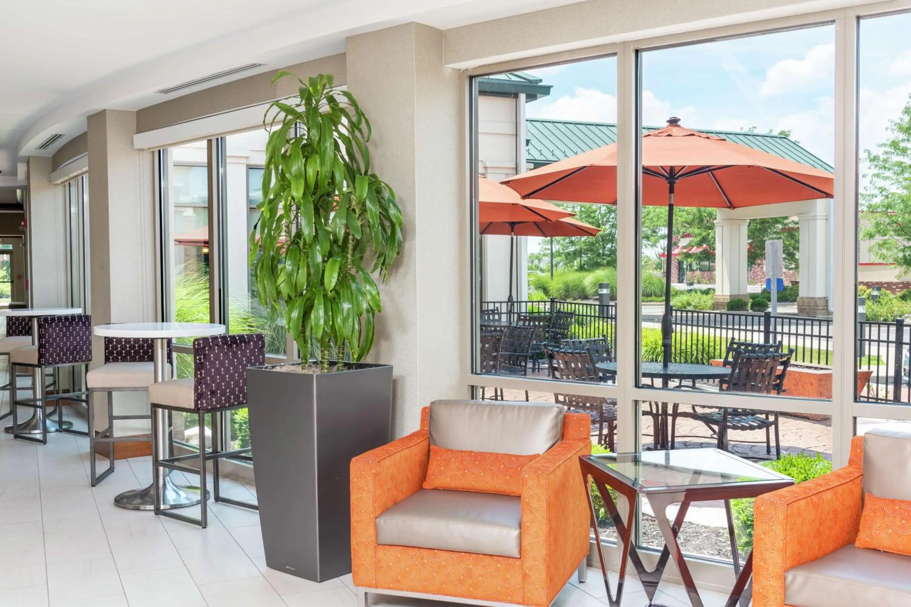 Lobby or reception in Hilton Garden Inn Indianapolis South/Greenwood