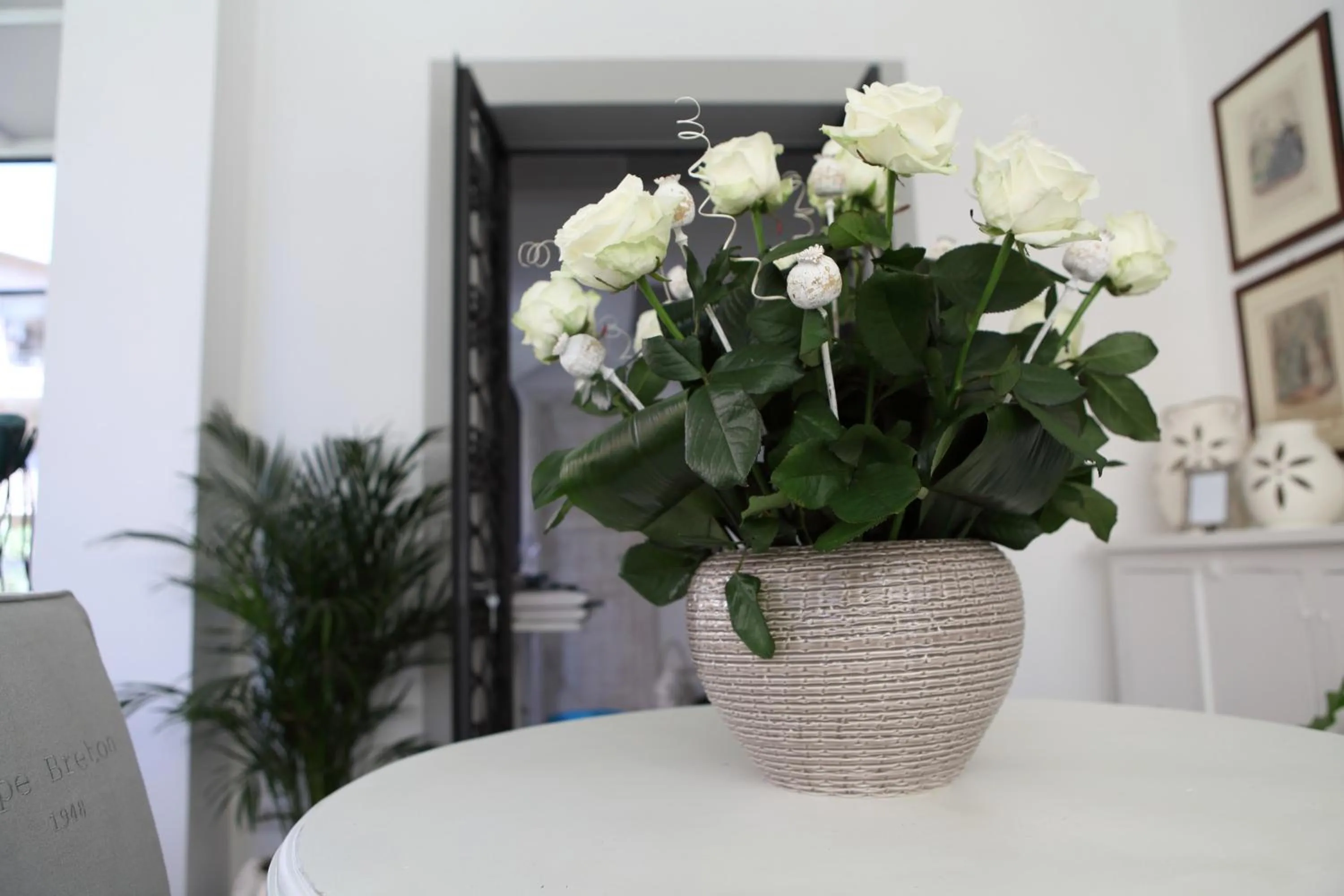 Other in Casa Fioravanti