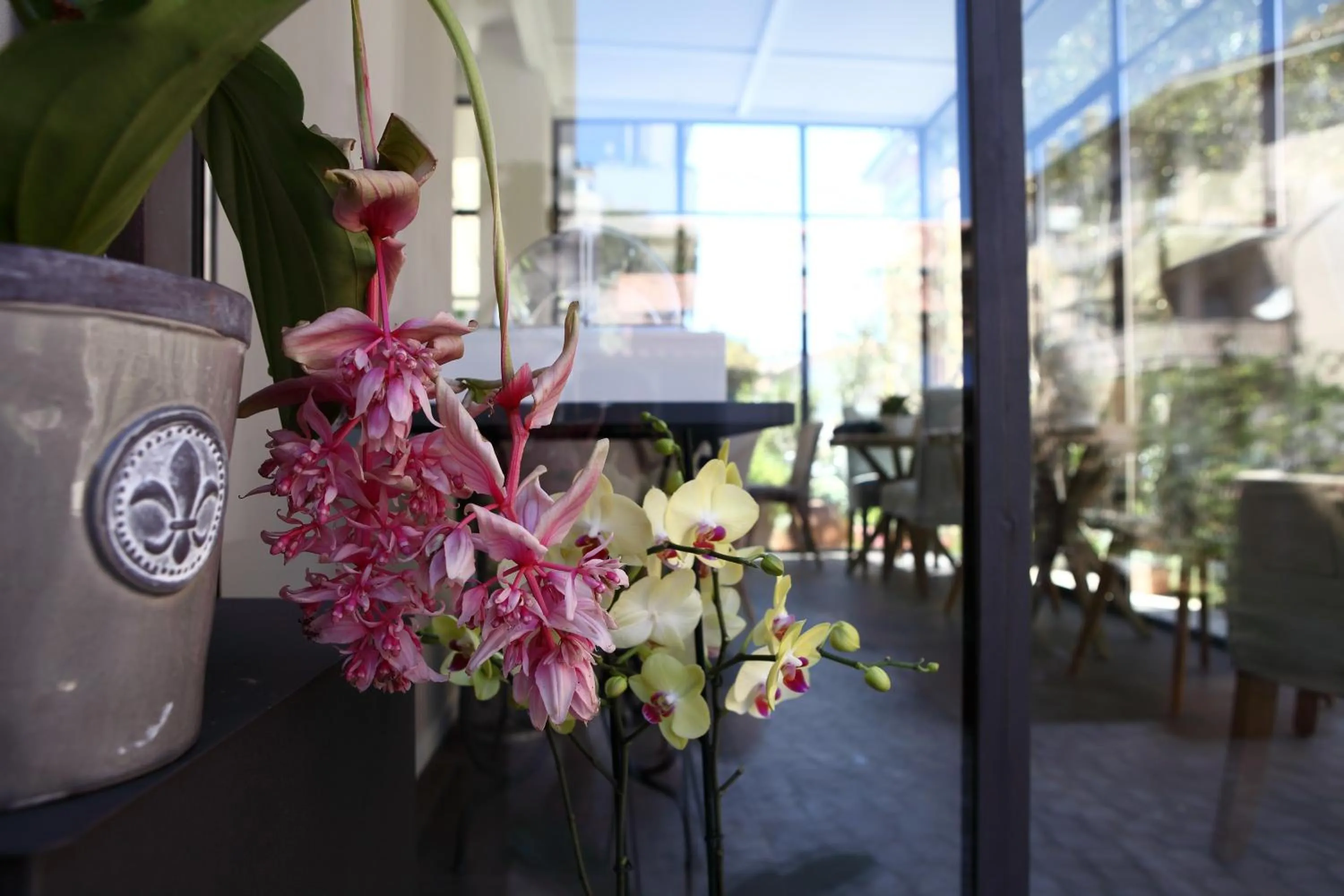 Facade/entrance in Casa Fioravanti