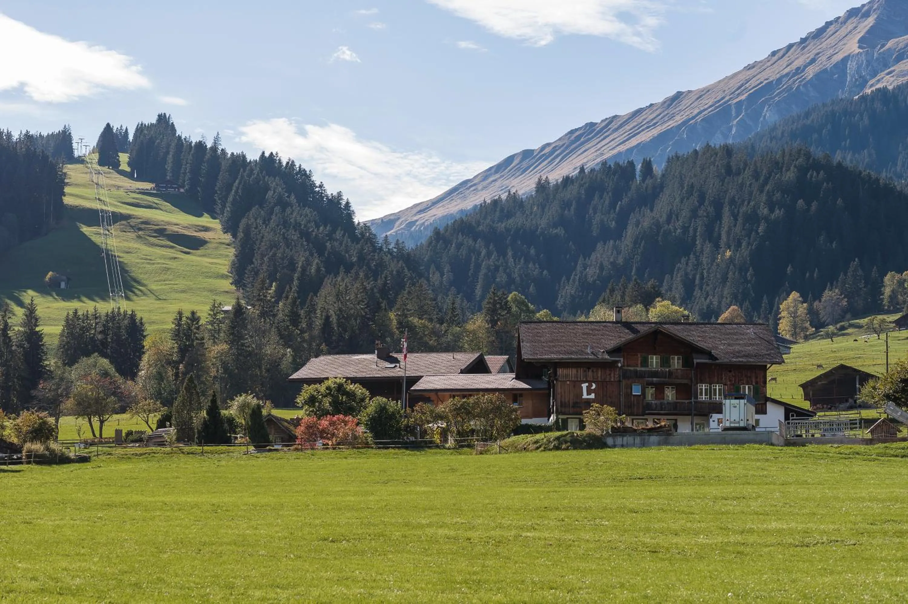 Lenk Lodge - Boutique & Design Hotel und Apartements