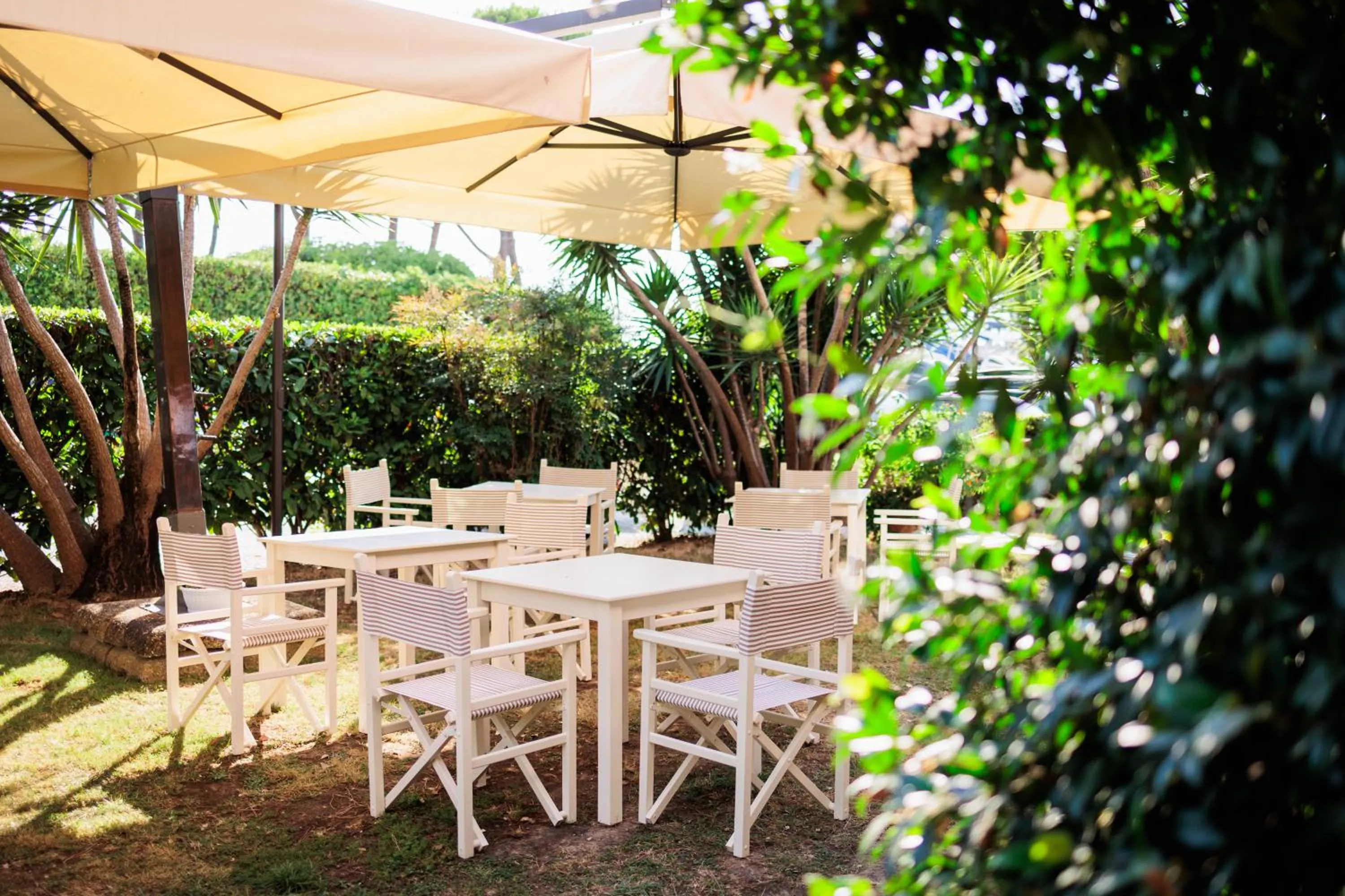 Garden in Hotel Eden