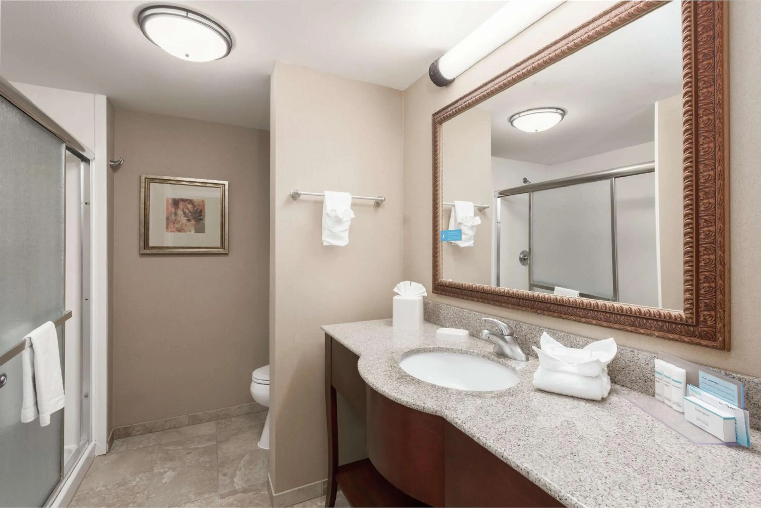 Bathroom in Hampton Inn Branson - Branson Hills