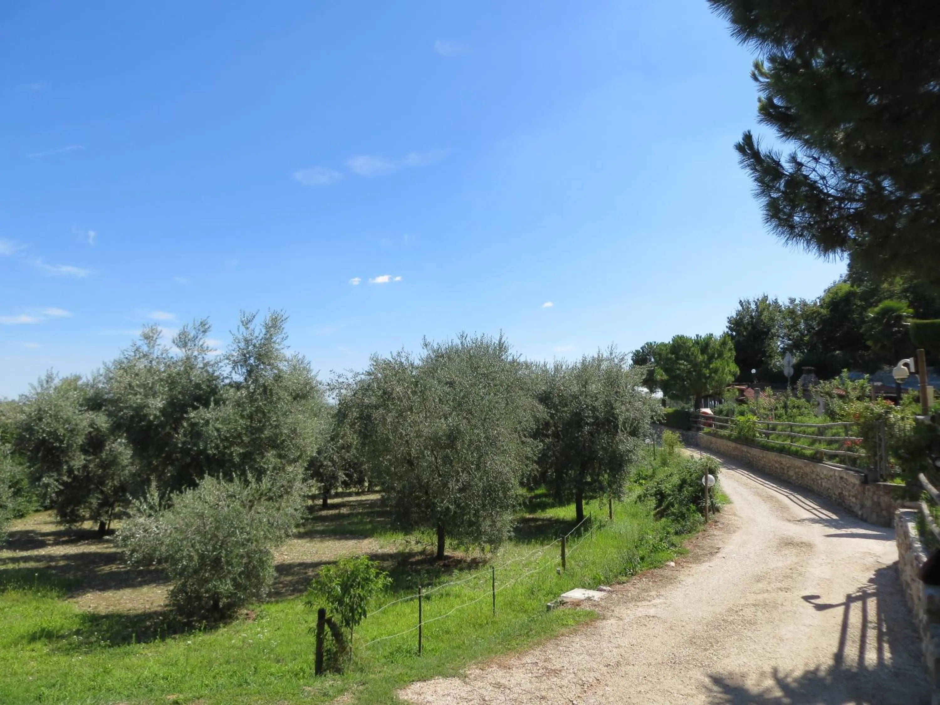Street view in Monte Lago