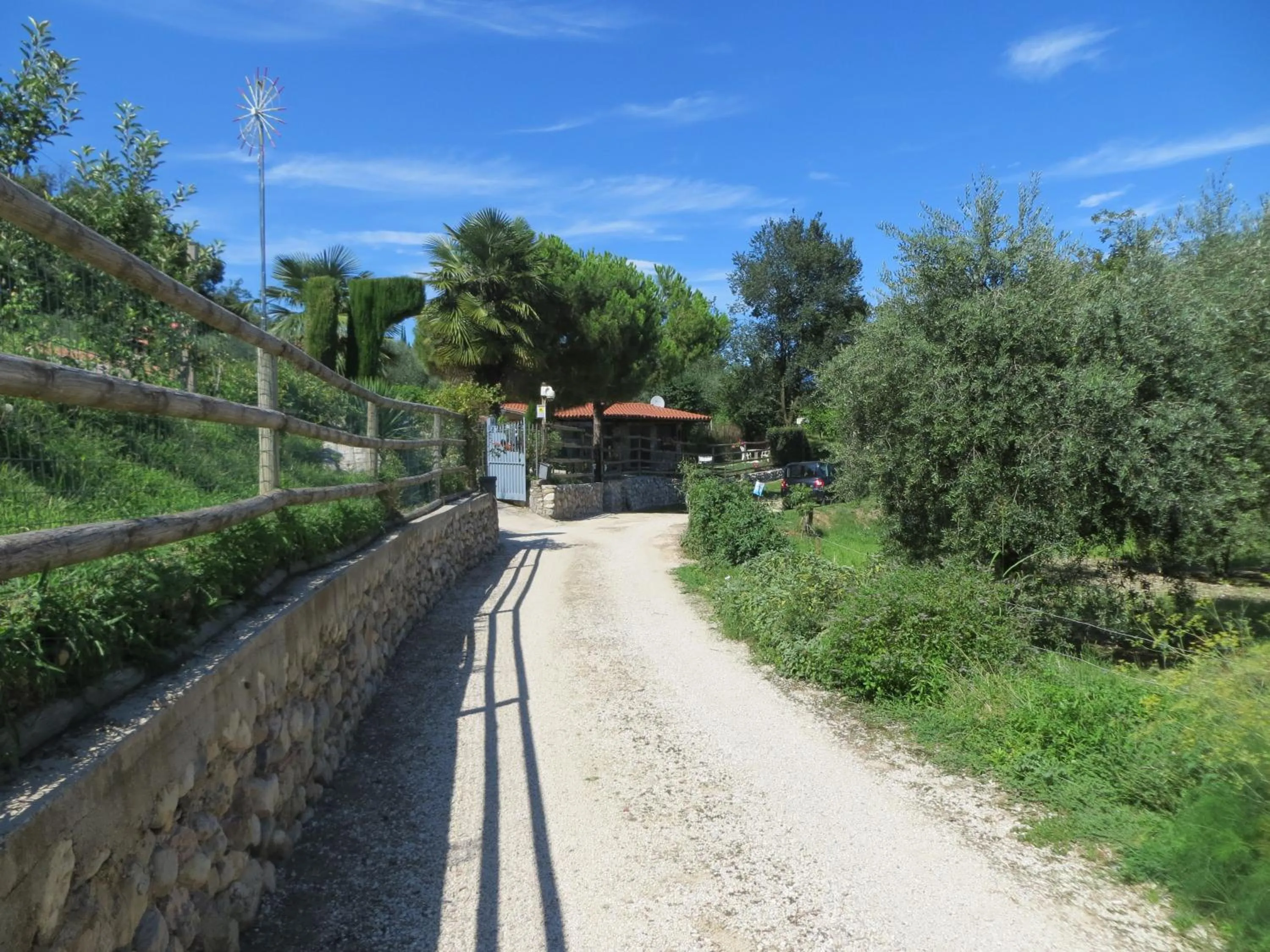 Street view in Monte Lago