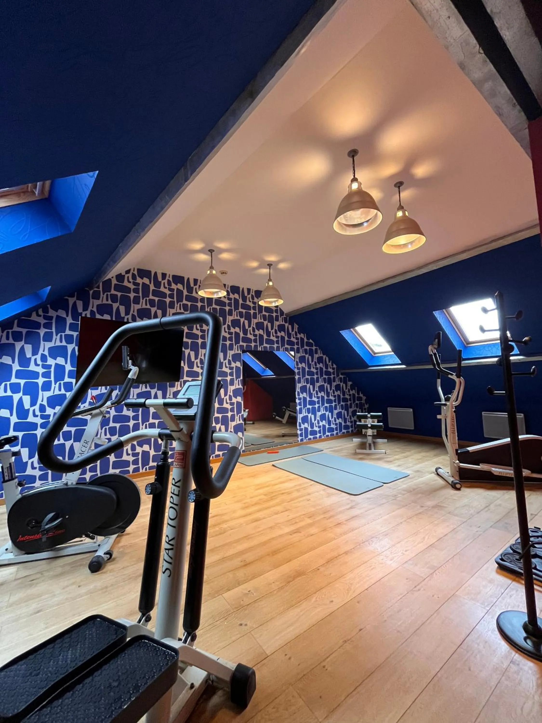 Fitness centre/facilities in LOGIS Hôtel Borel