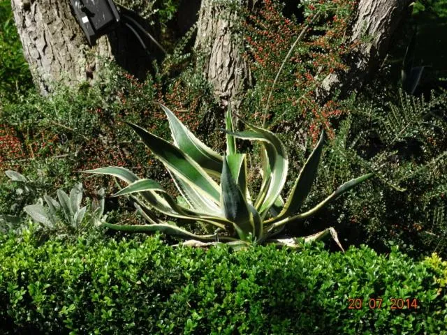 Day in Gartenhotel Lenzenhof - Wildschönau- PREMIUMCARD inclusive