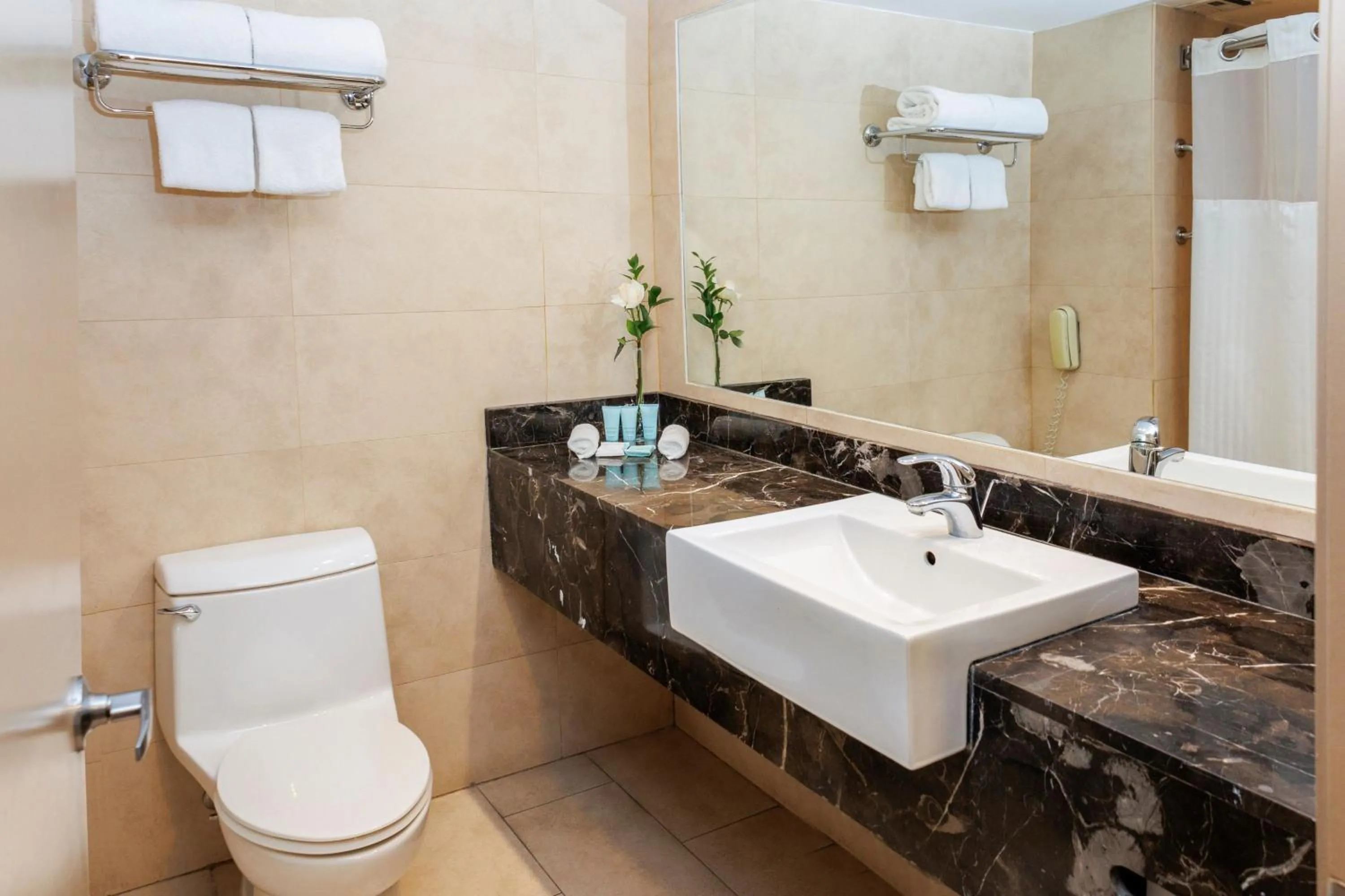 One-Bedroom King Suite with City view in Hotel Plaza Santiago