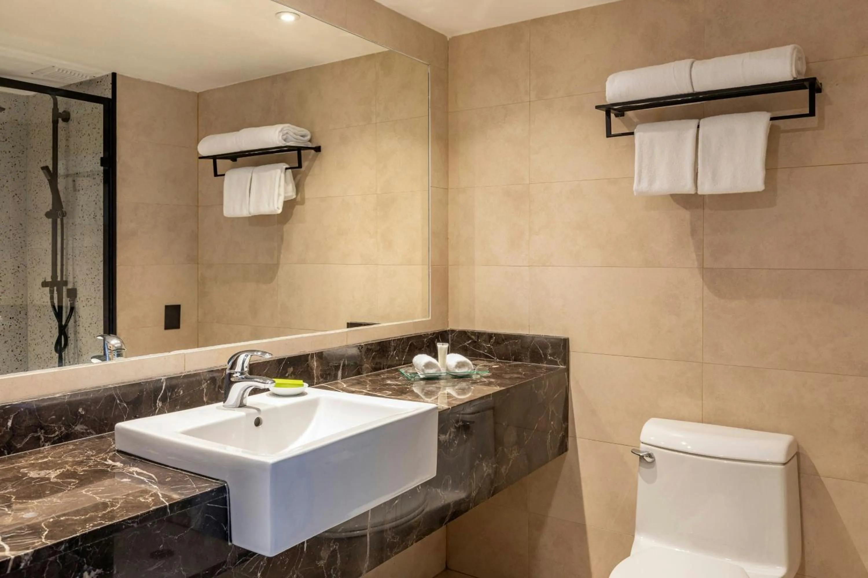 Bathroom in Hotel Plaza Santiago