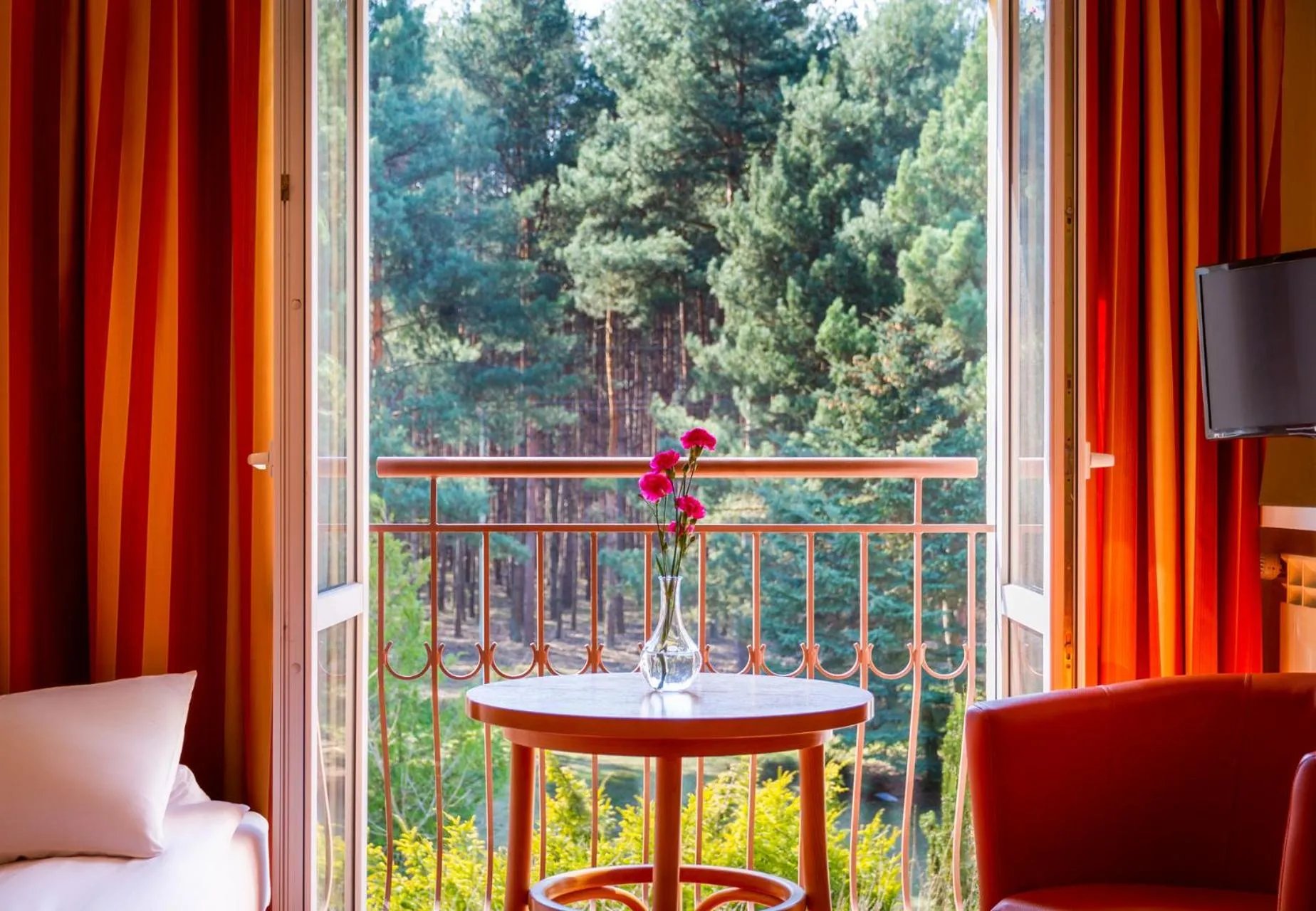 Day in Perła Leśna Nadarzyn