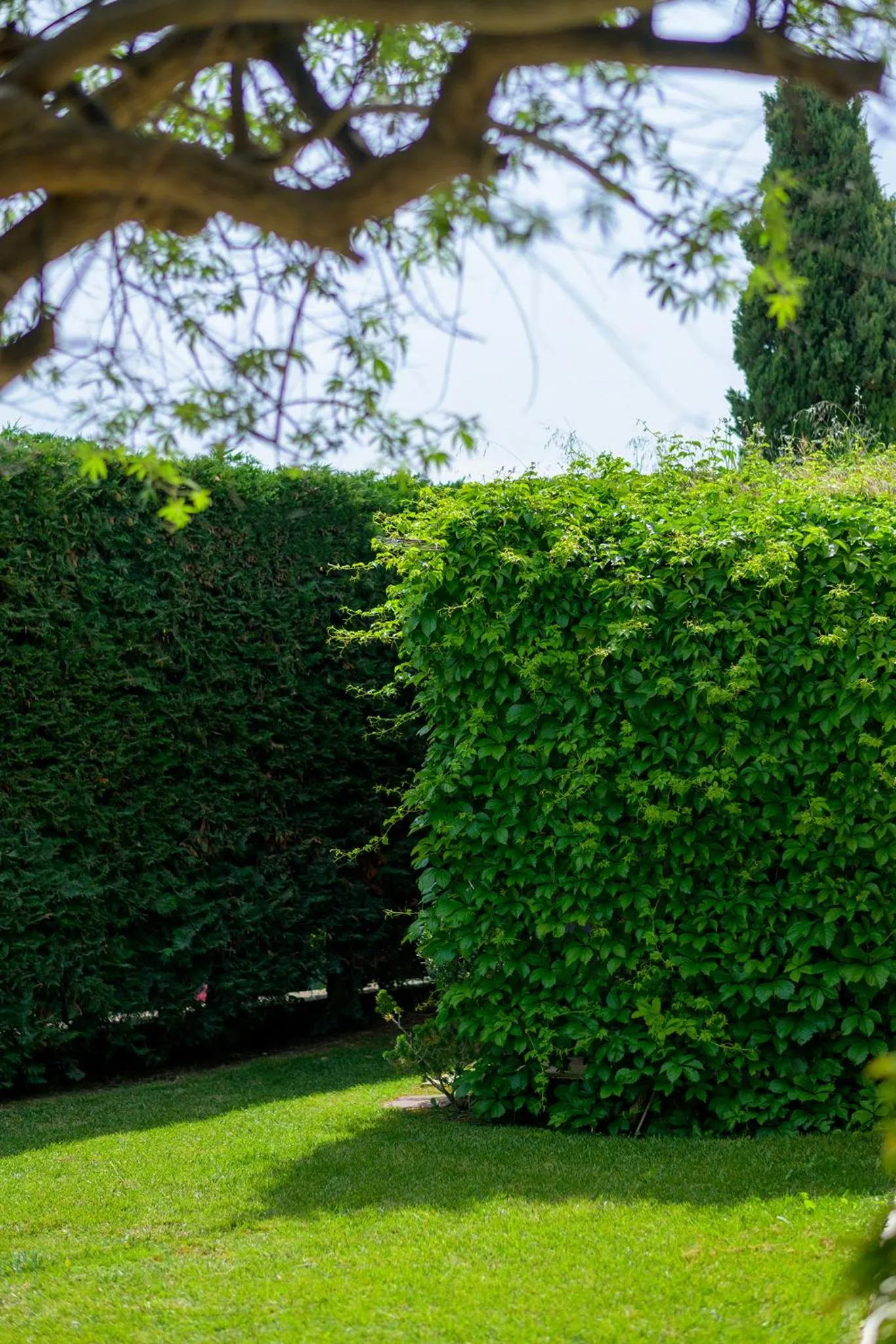 Oikies Small Elegant Houses