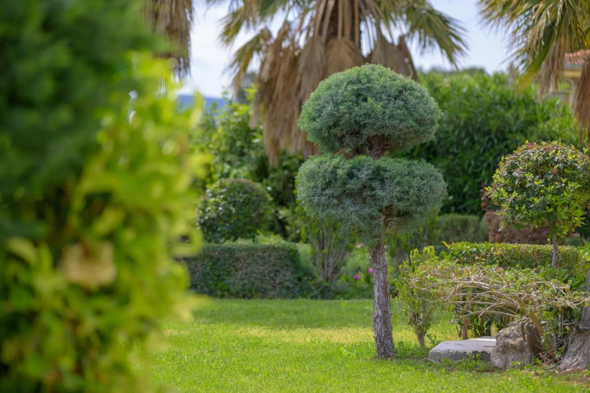 Oikies Small Elegant Houses