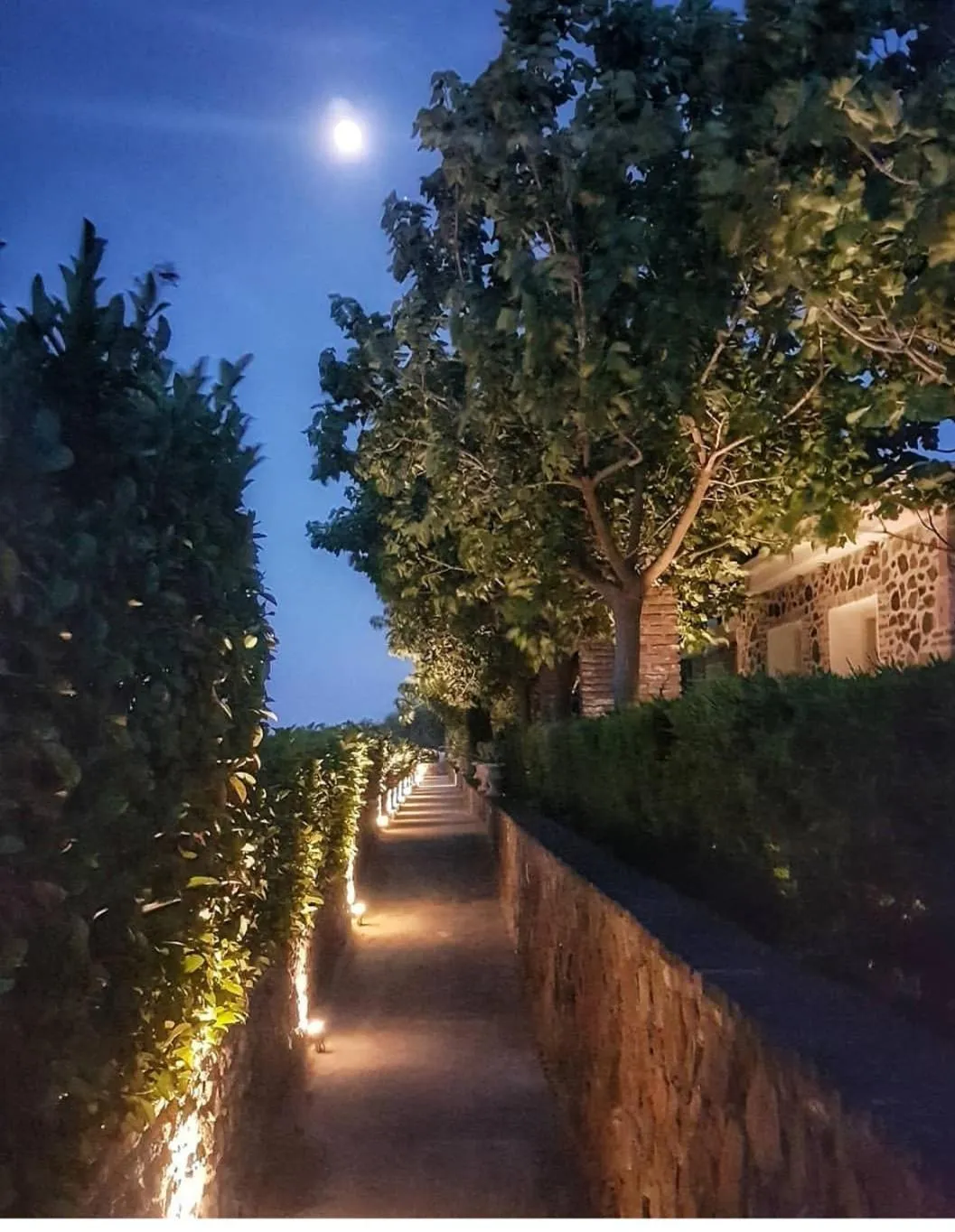 Oikies Small Elegant Houses