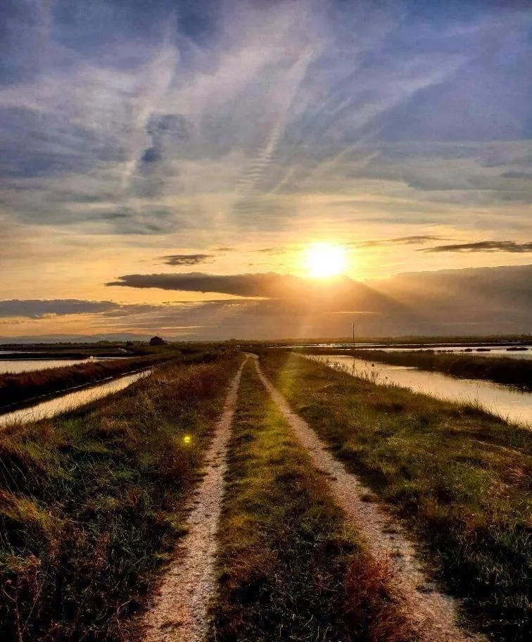 Natural landscape in Hotel Ficocle