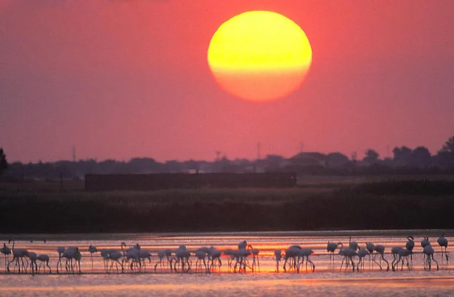 Natural landscape in Hotel Ficocle
