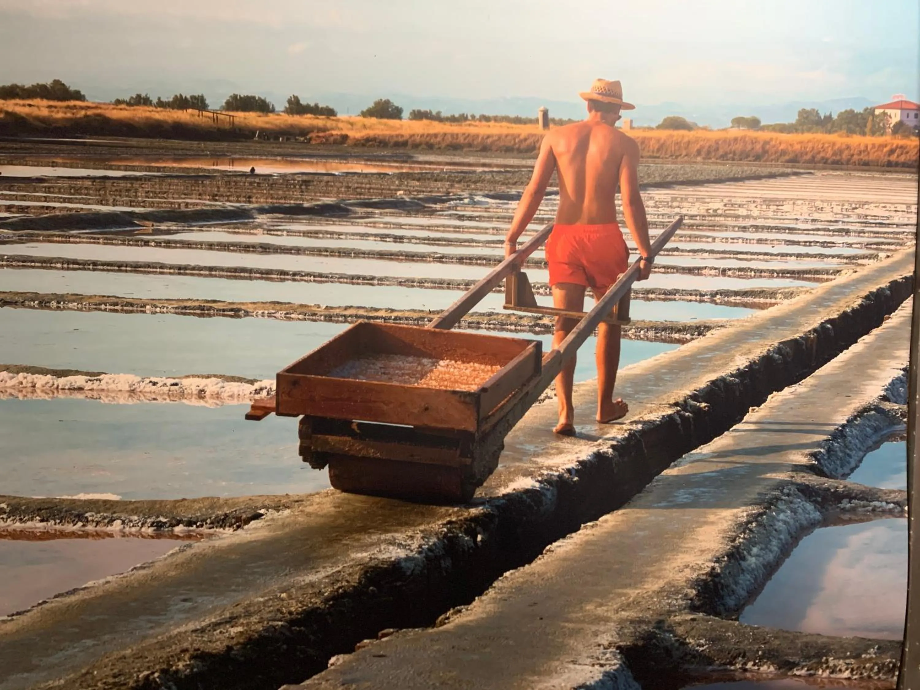 View (from property/room) in Hotel Ficocle