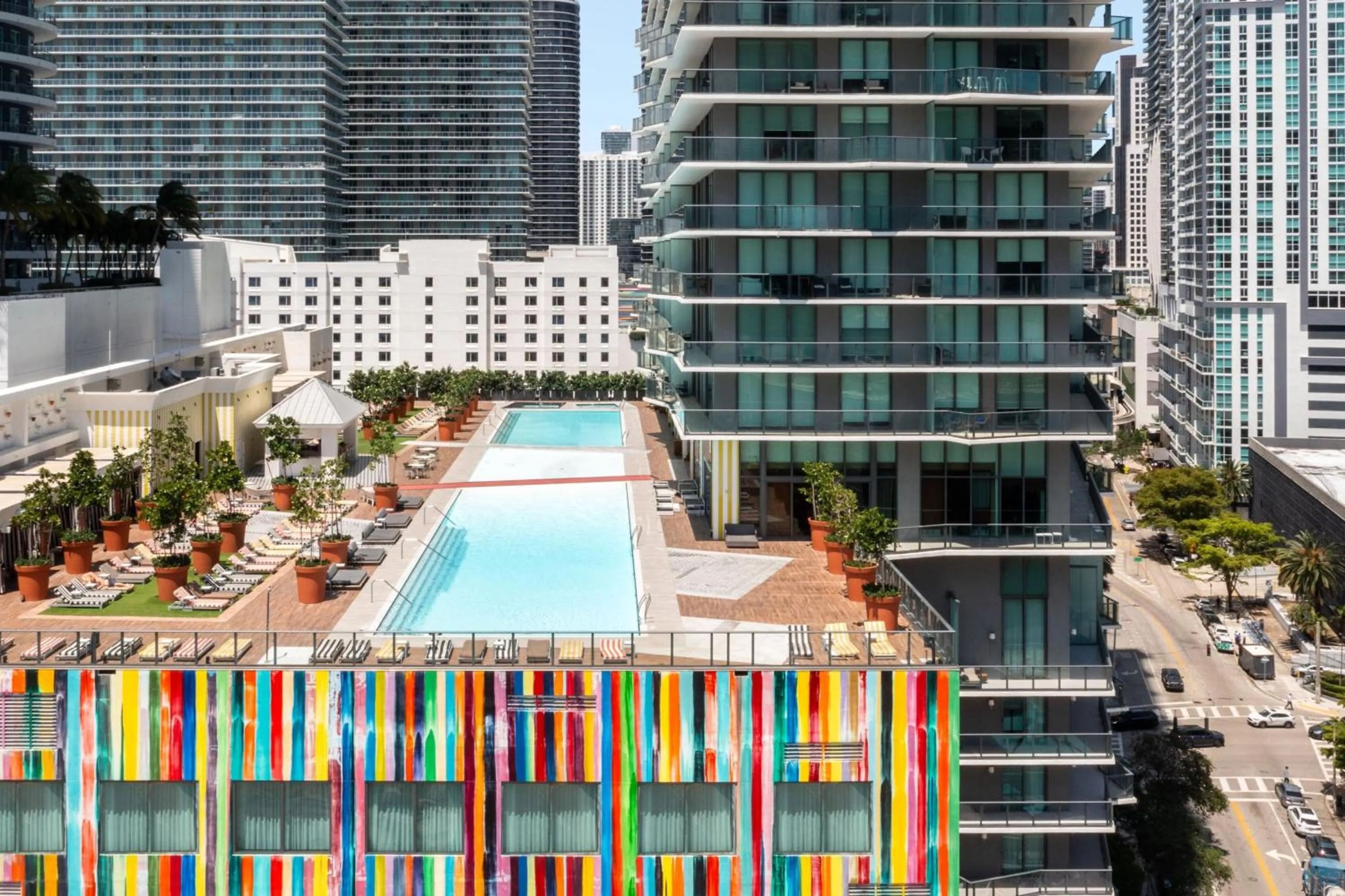 Swimming pool in Dua Miami, Autograph Collection